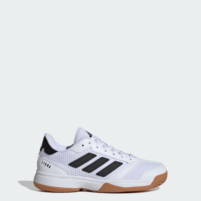 Trainer Ligra 8 K