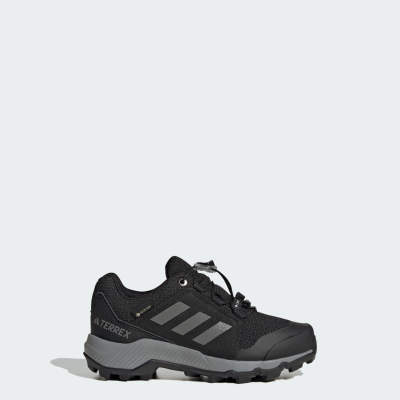 Туристические ботинки Terrex GORE-TEX