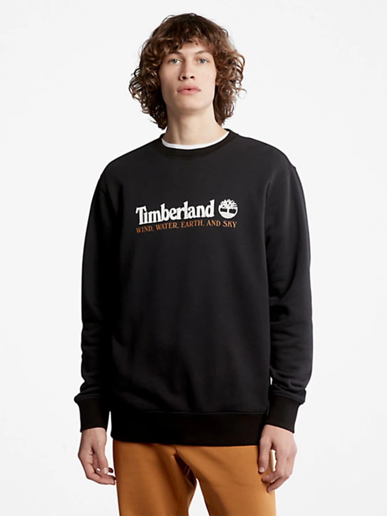 Худи и свитшоты Timberland модель TB0A27HC001