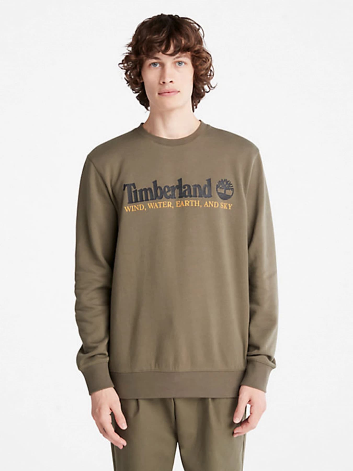 Худи и свитшоты Timberland модель A27HCA58