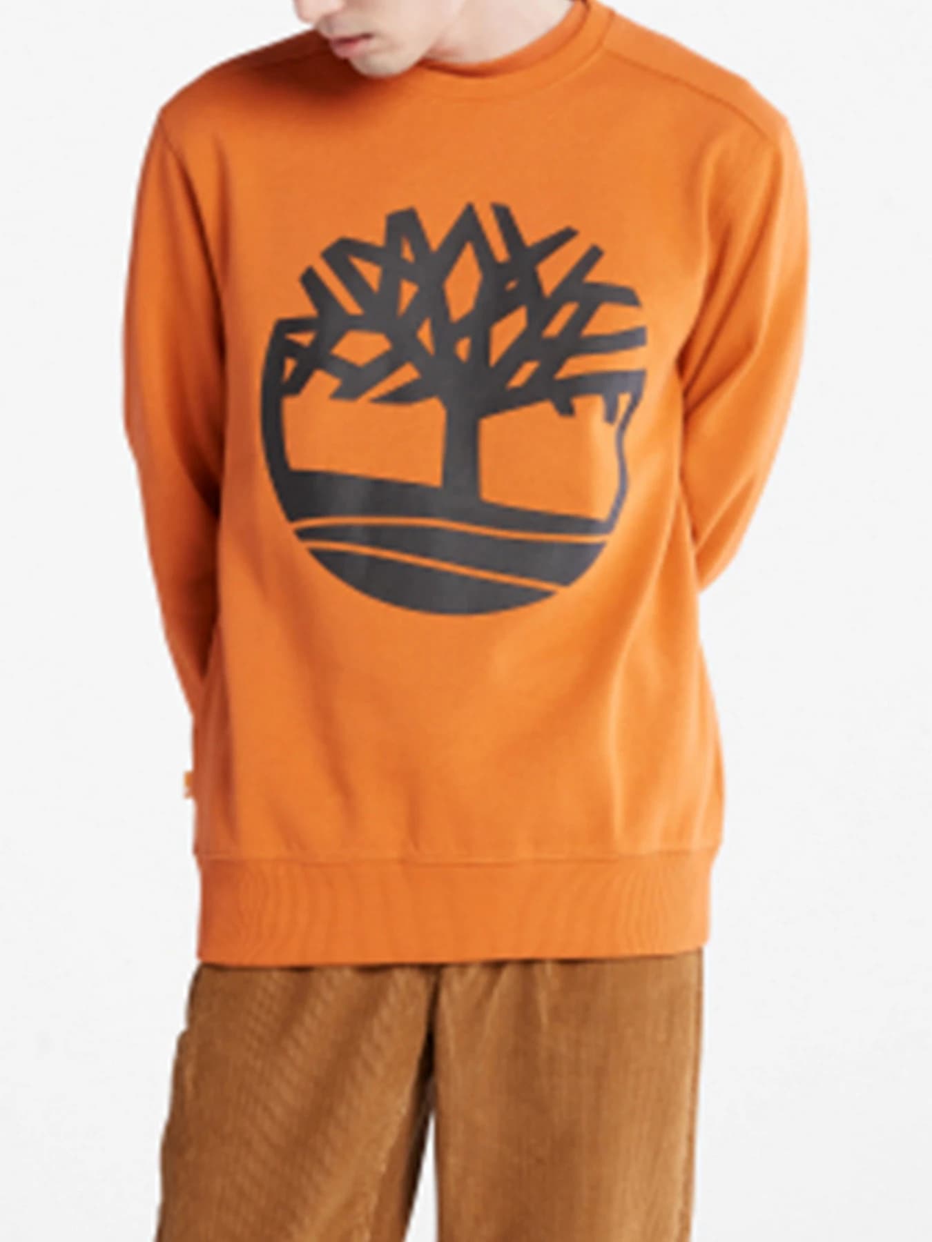 Худи и свитшоты Timberland модель A2BJ8643