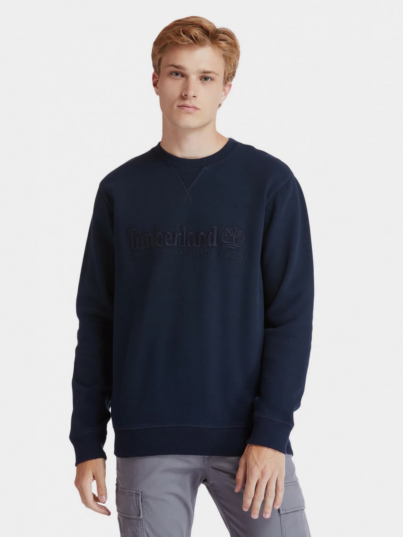Худи и свитшоты Timberland модель TB0A2CQZ433