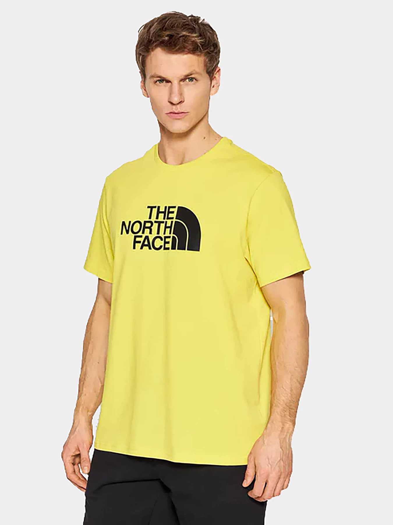 Футболки и поло The North Face модель NF0A2TX376S1