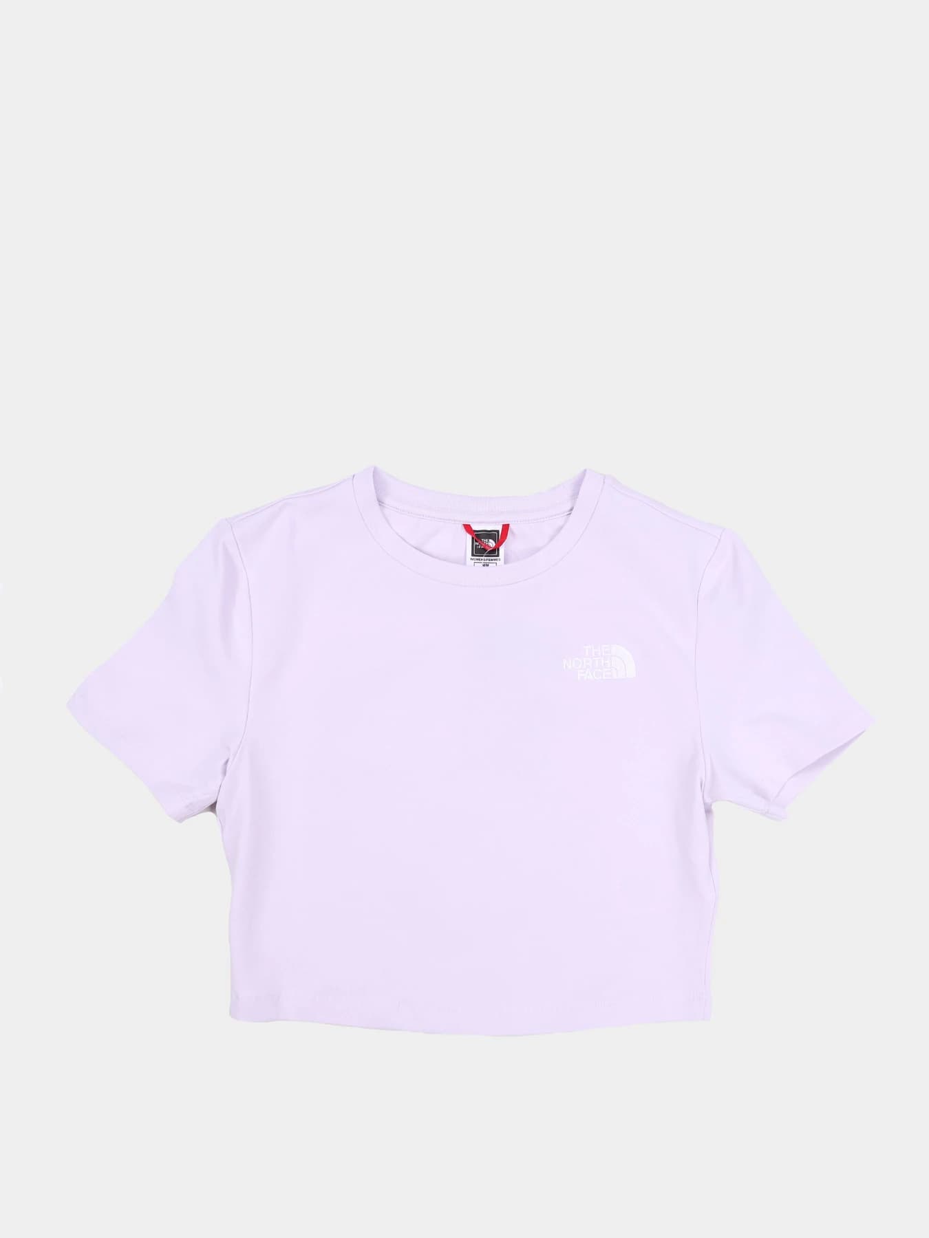 Футболки и поло The North Face модель NF0A55AO6S11