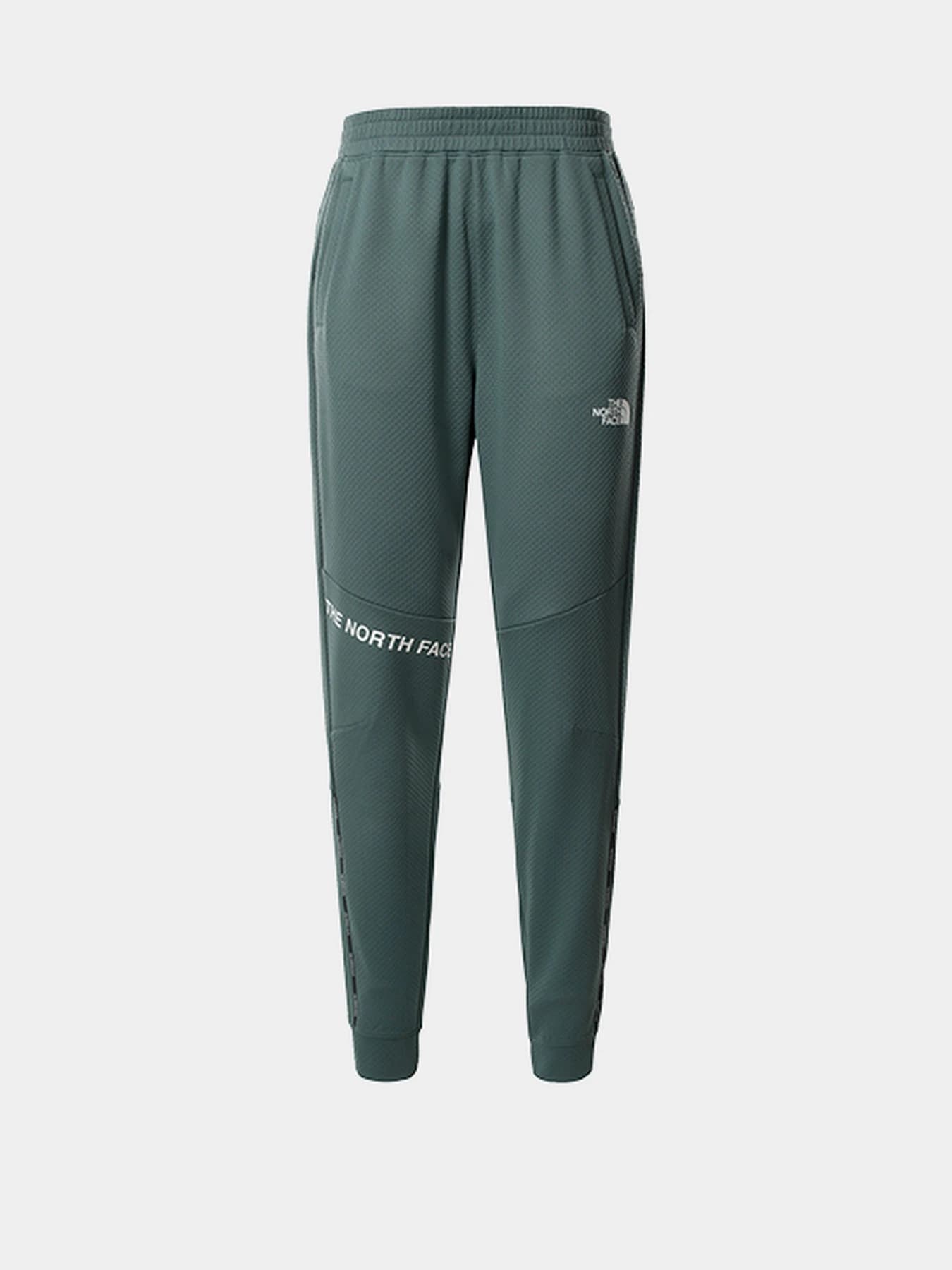 Брюки The North Face модель NF0A55HFHBS1