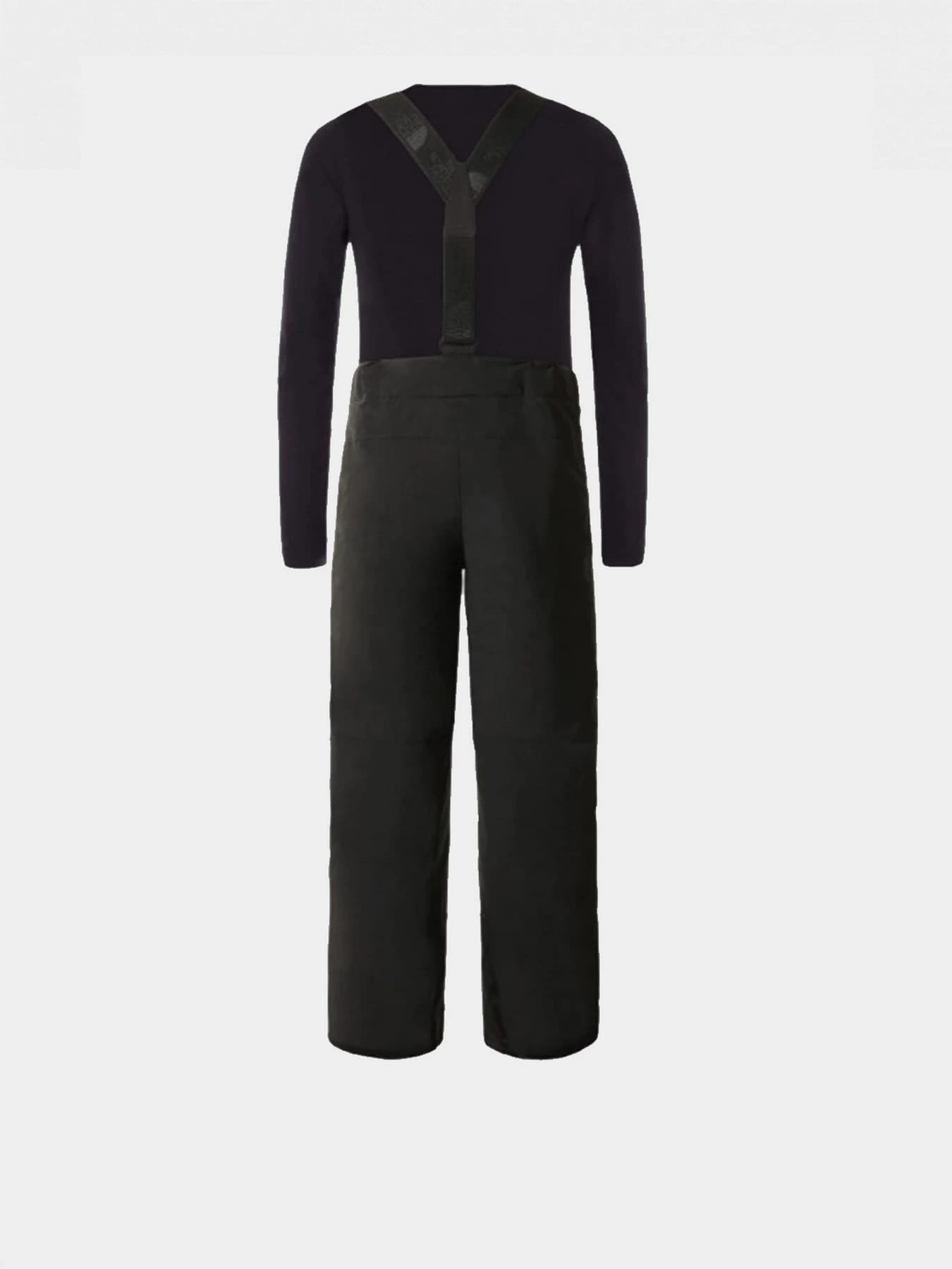 Брюки The North Face модель NF0A5G9BJK31