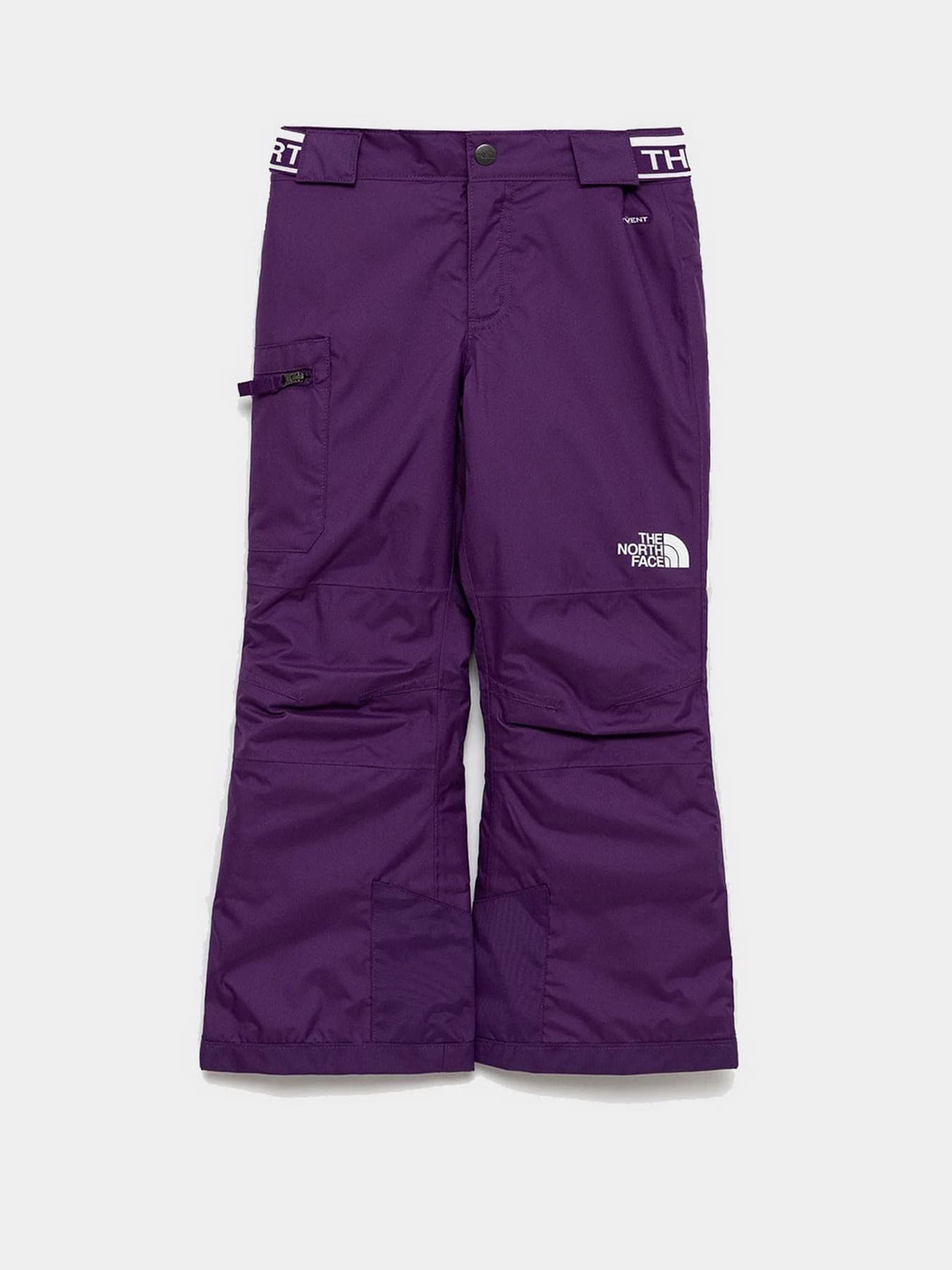 Брюки The North Face модель NF0A5G9DJC01