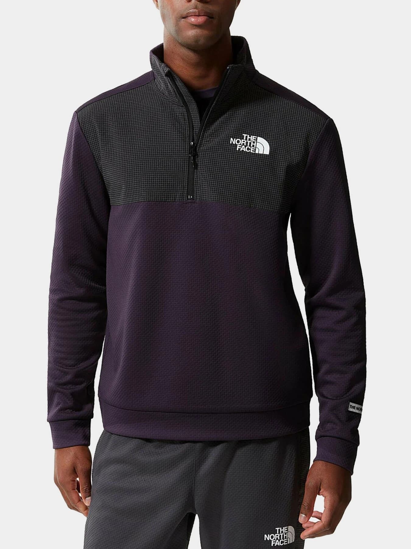 Худи и свитшоты The North Face модель NF0A5IBW3741