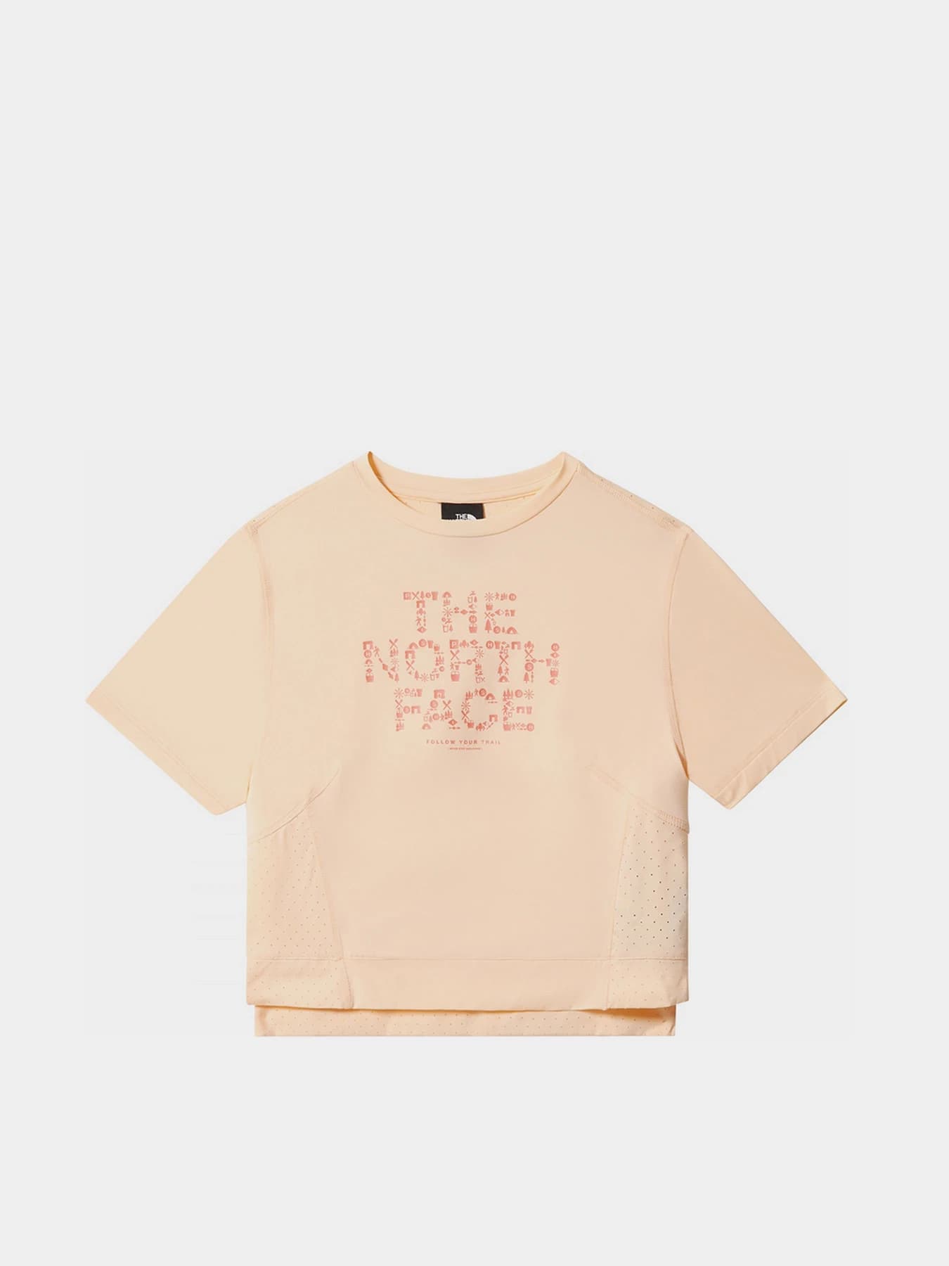 Футболки и поло The North Face модель NF0A5IFL3R81