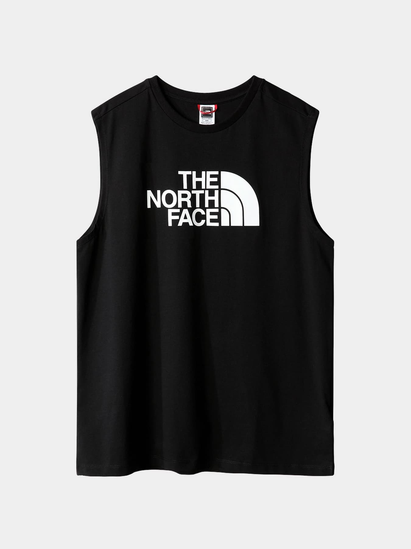Футболки и поло The North Face модель NF0A5IGYJK31