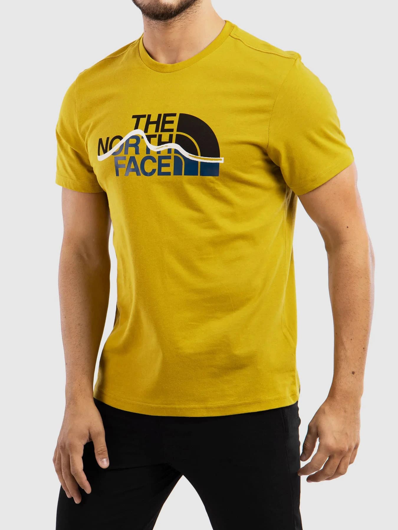 Футболки и поло The North Face модель NF0A7X1N76S1