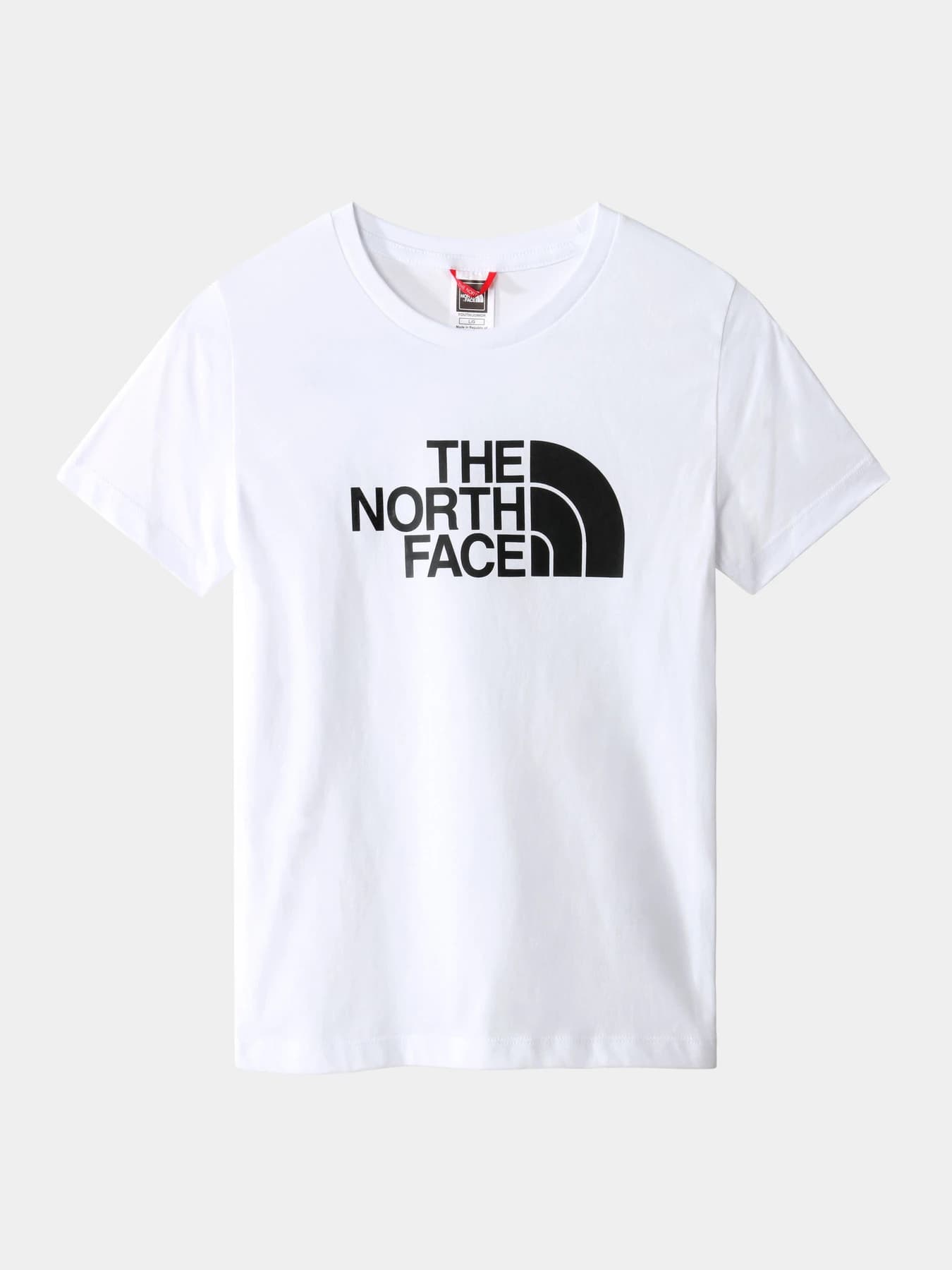 Футболки и поло The North Face модель NF0A7X5EFN41