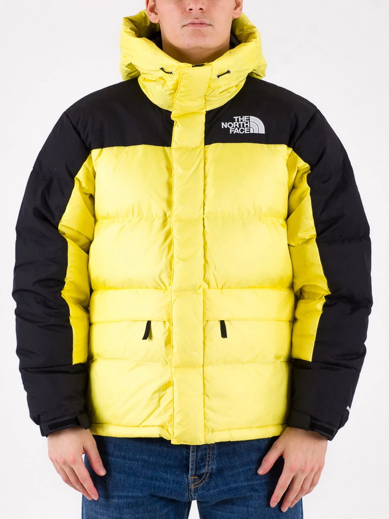 Куртки и дубленки The North Face модель NF0A4QYX71U1