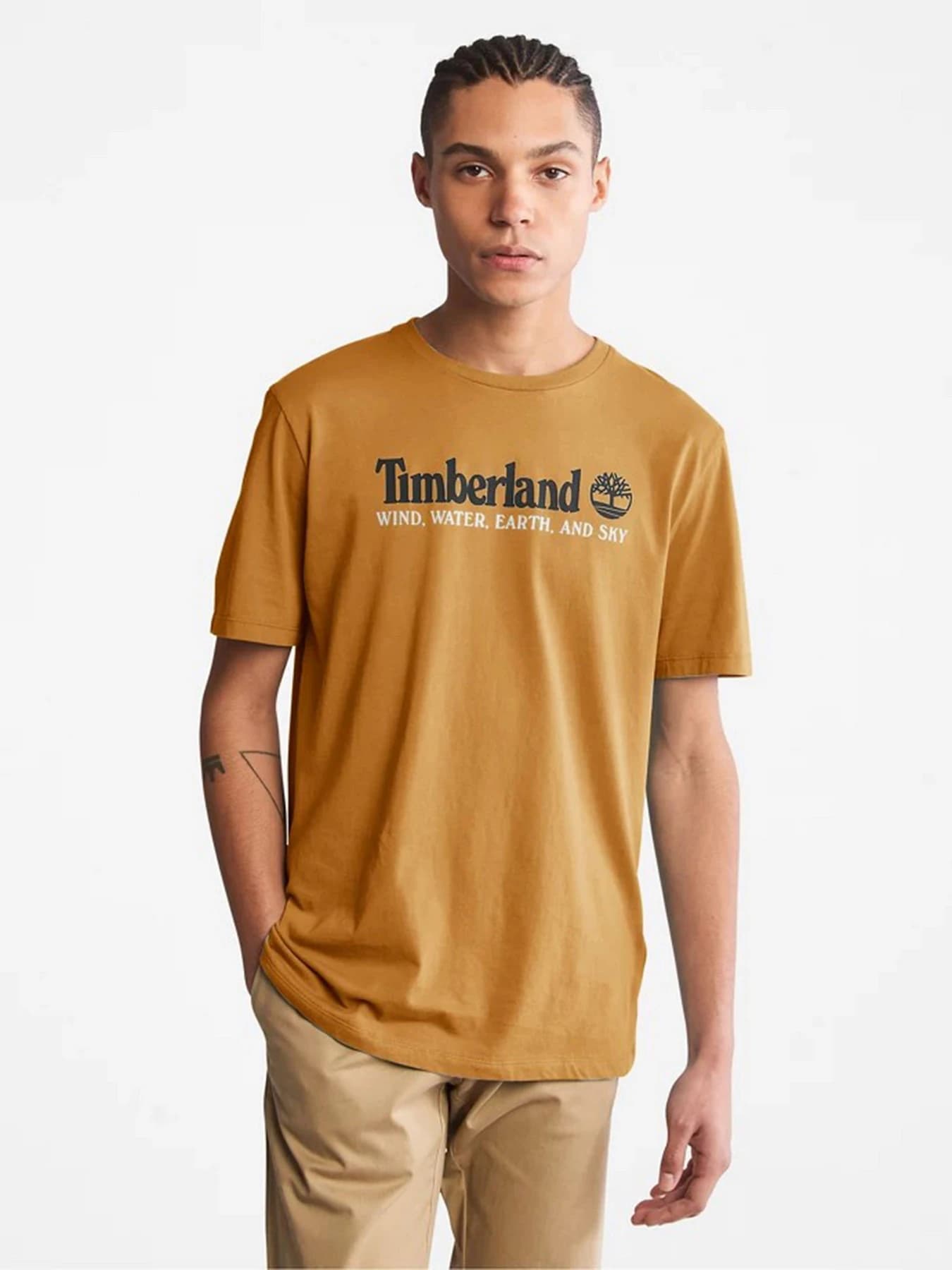 Футболки и поло Timberland модель TB0A27J8P47