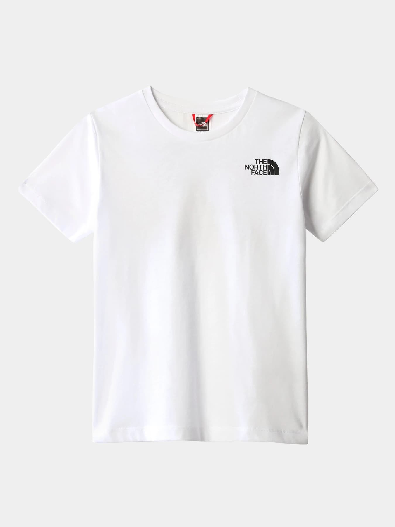 Футболки и поло The North Face модель NF0A7X5BFN41