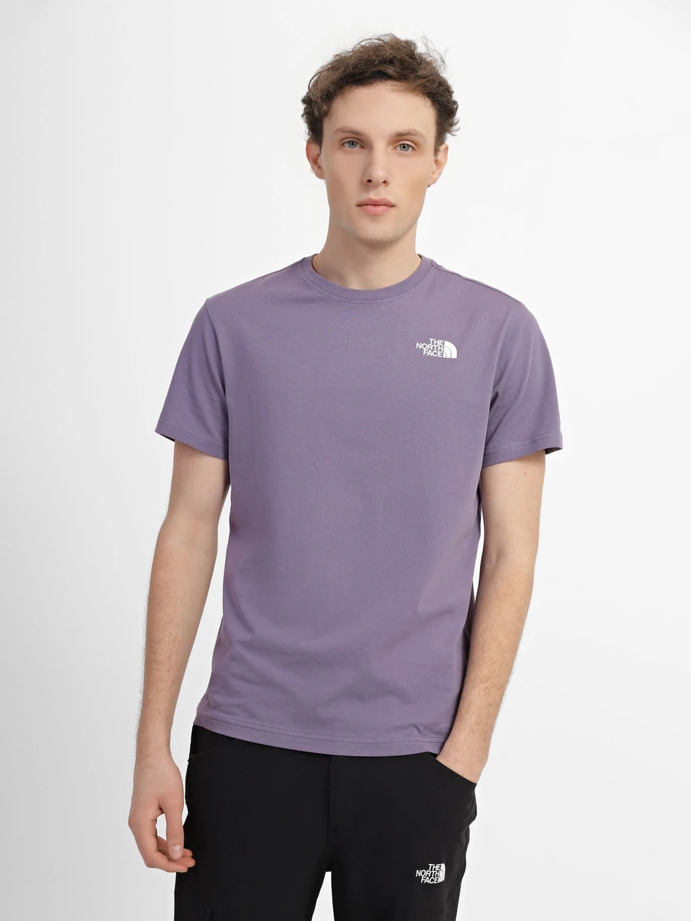 Футболки и поло The North Face модель NF0A2TX2N141