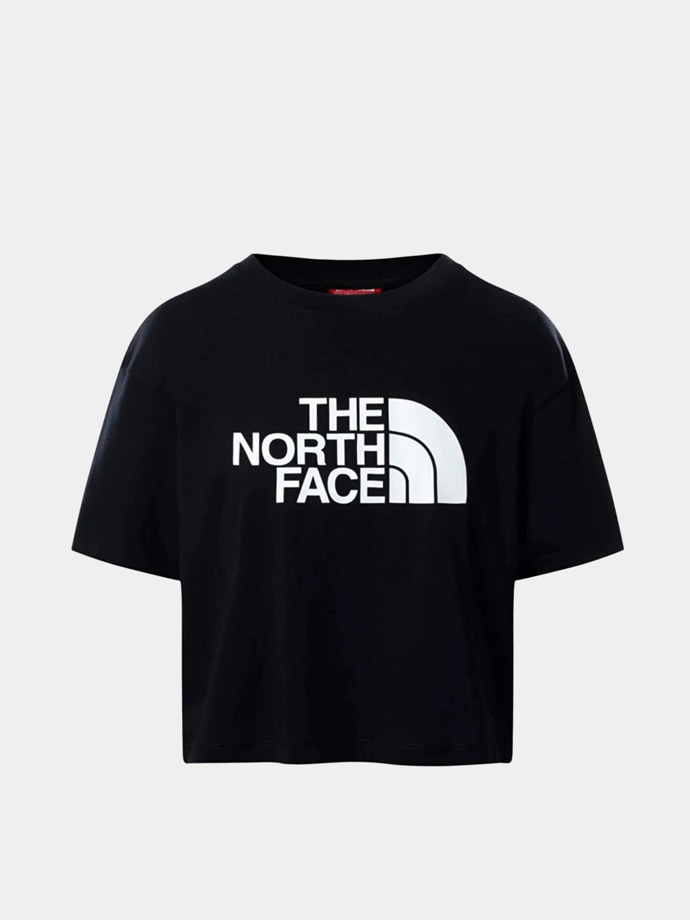 Футболки и поло The North Face модель NF0A4T1RJK31