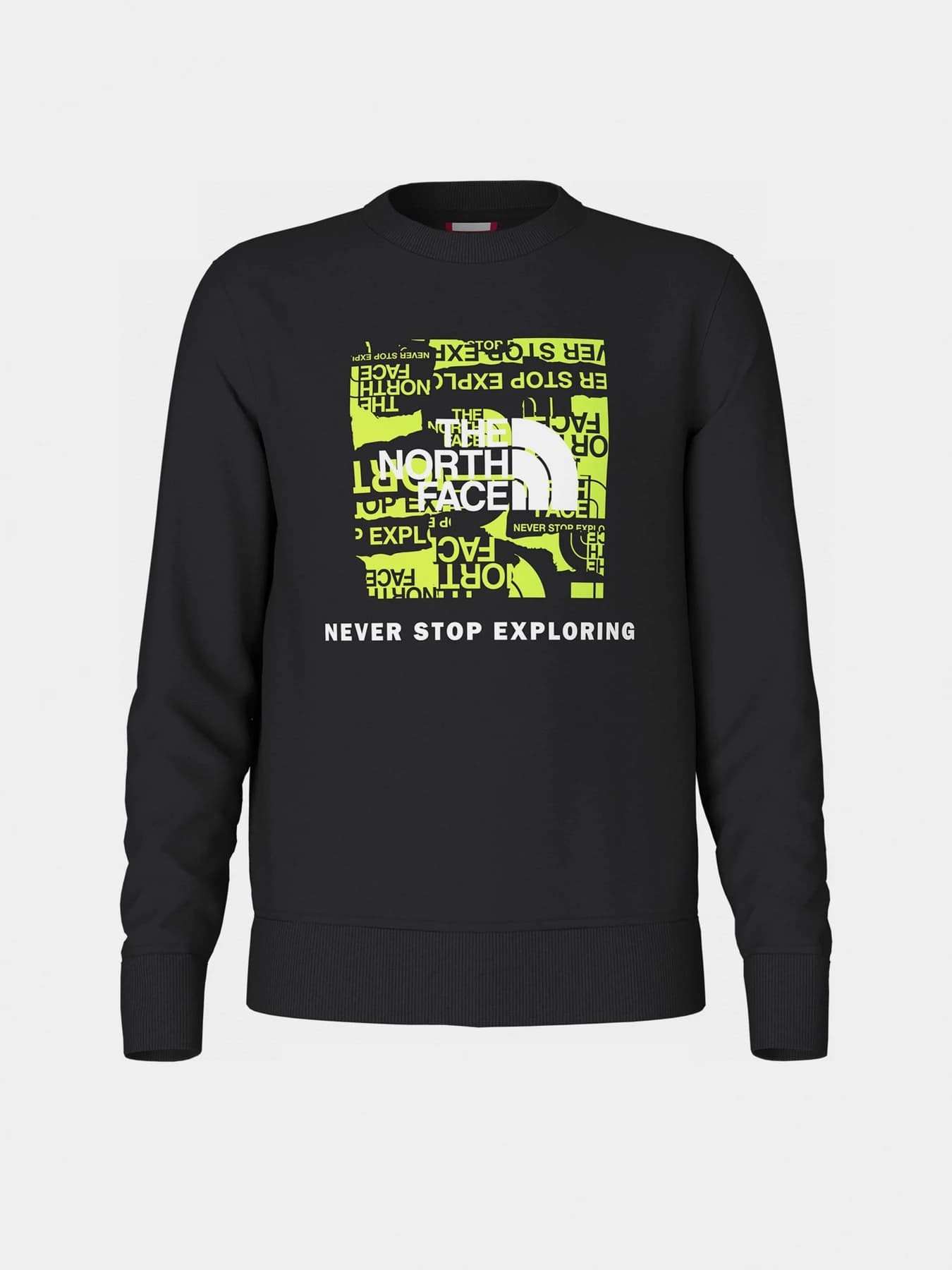 Худи и свитшоты The North Face модель NF0A82EPH211