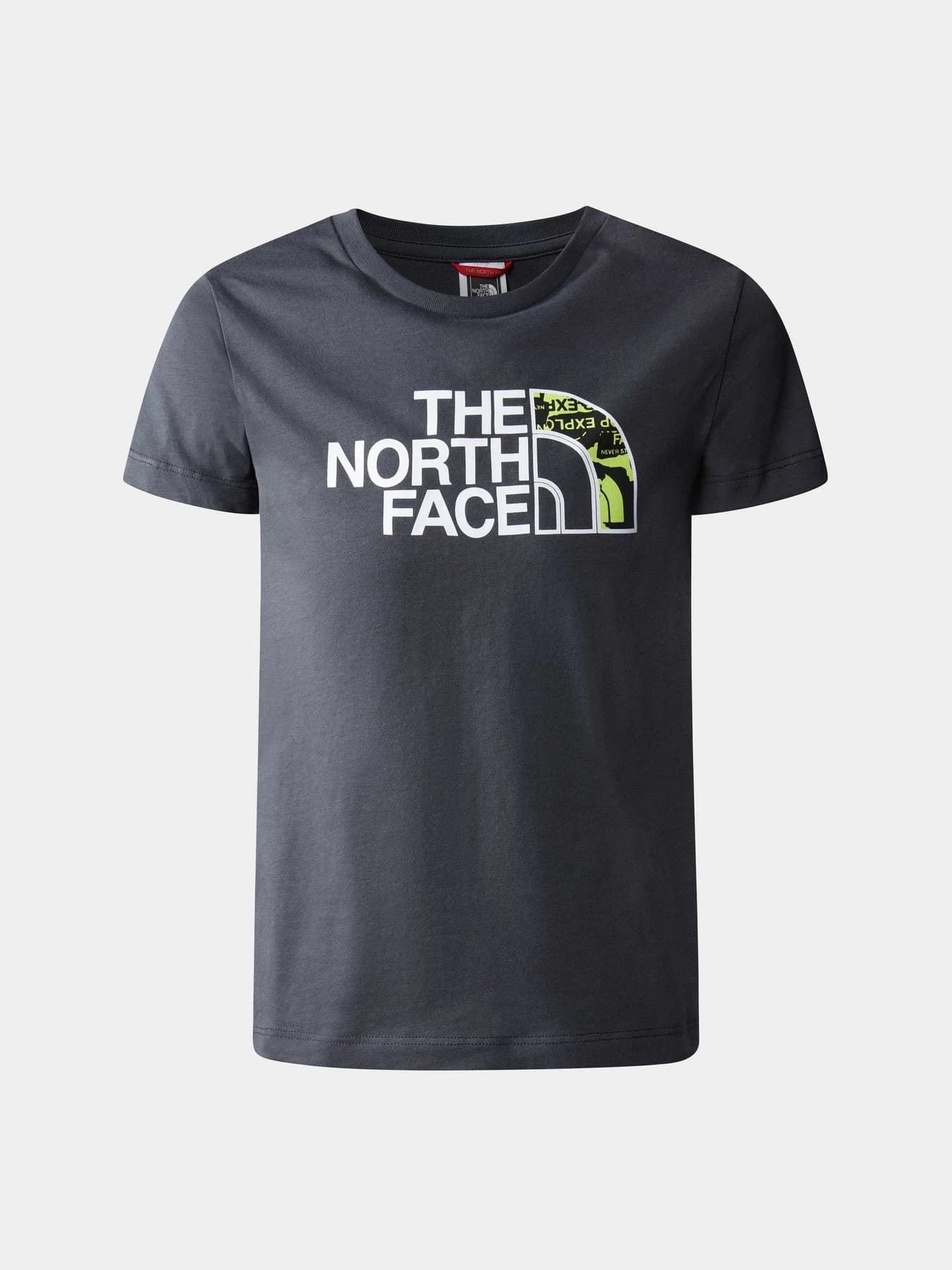 Футболки и поло The North Face модель NF0A82GH0C51