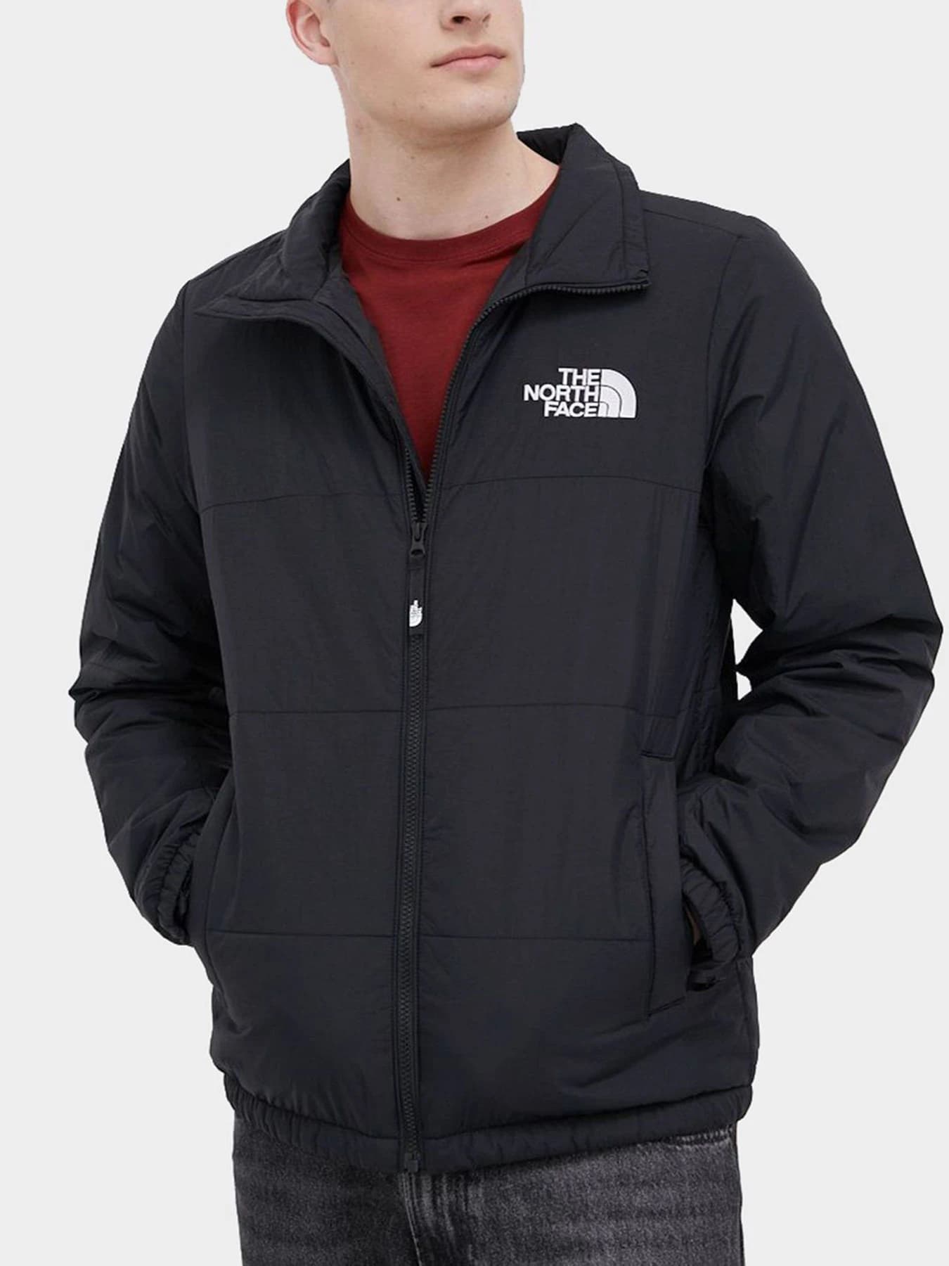 Куртки и дубленки The North Face модель NF0A557VJK31