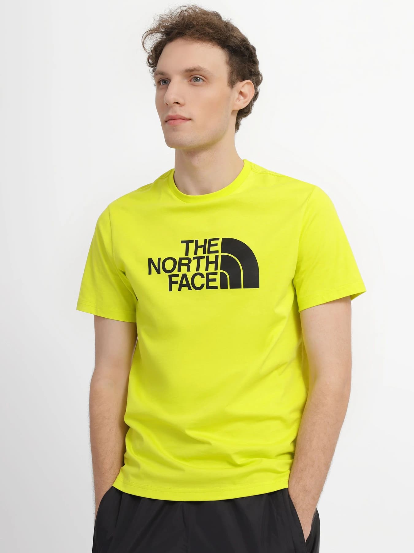 Футболки и поло The North Face модель NF0A2TX38NT1