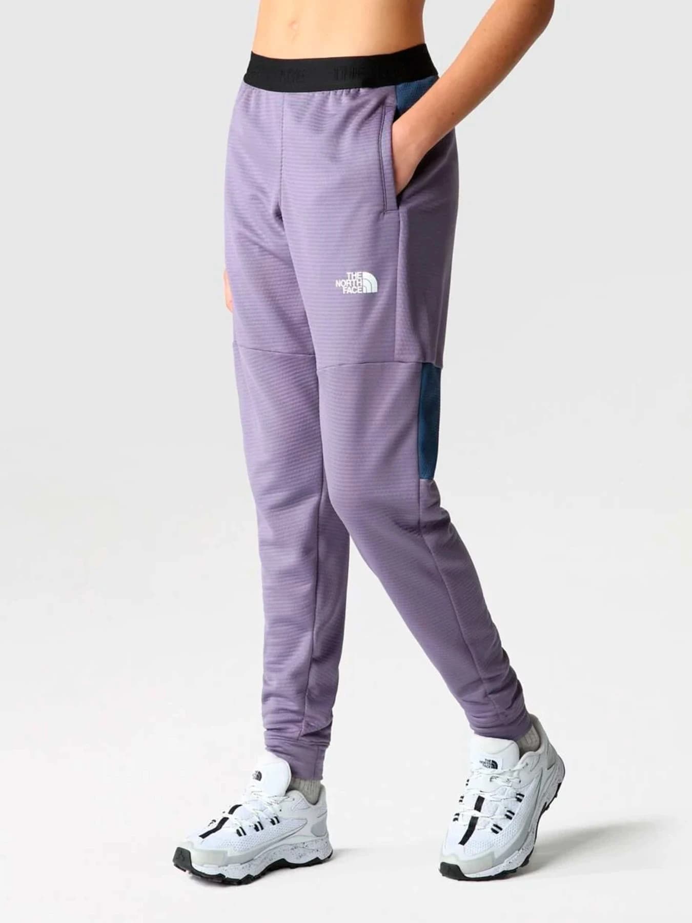 Брюки The North Face модель NF0A824RIJV1