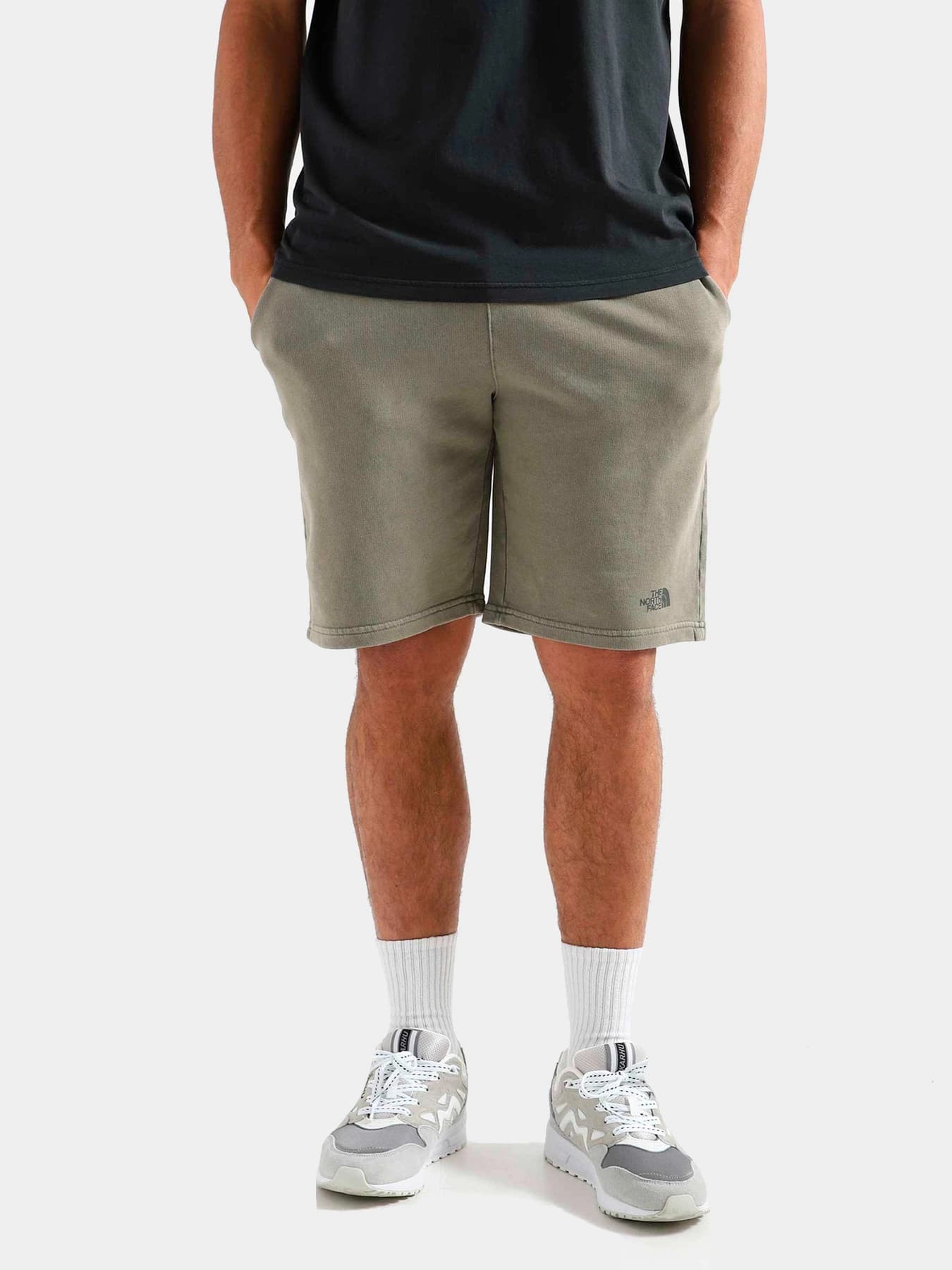Шорты The North Face модель NF0A826M21L1
