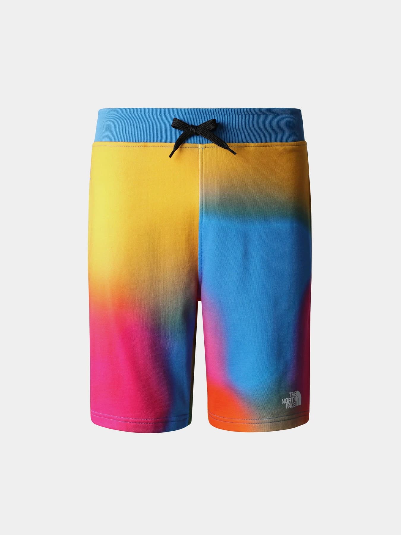 Шорты The North Face модель NF0A3S4EIAX1