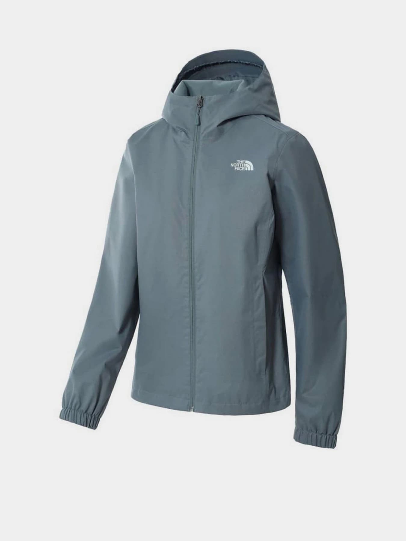Куртки и дубленки The North Face модель NF00A8BA4591