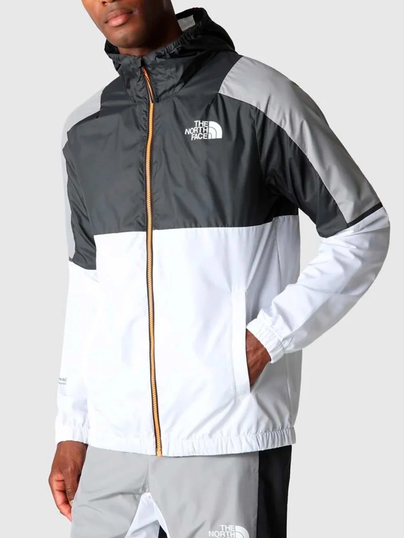 Куртки и дубленки The North Face модель NF0A823XIKB1