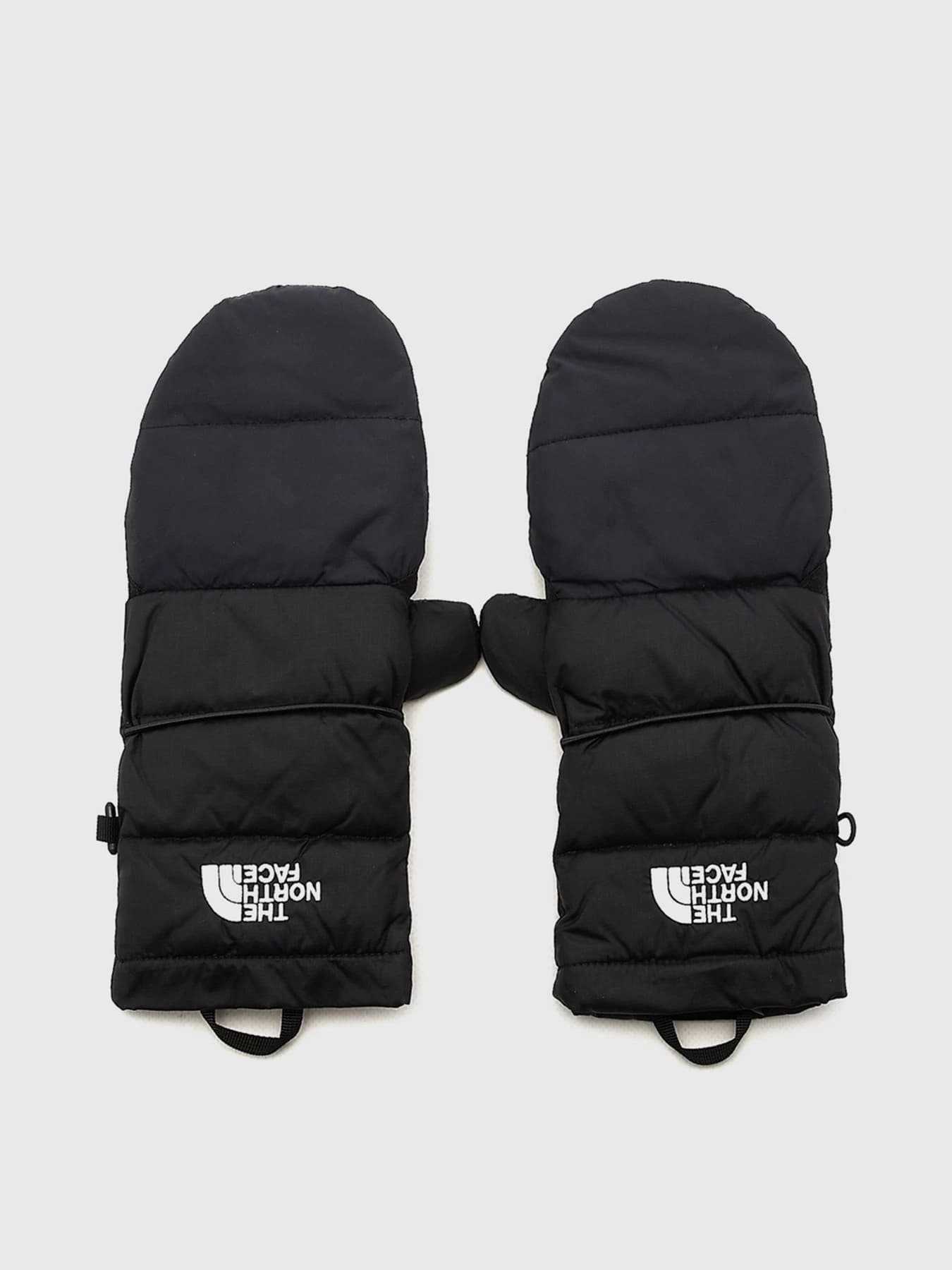 Перчатки и варежки The North Face модель NF0A55L6JK31