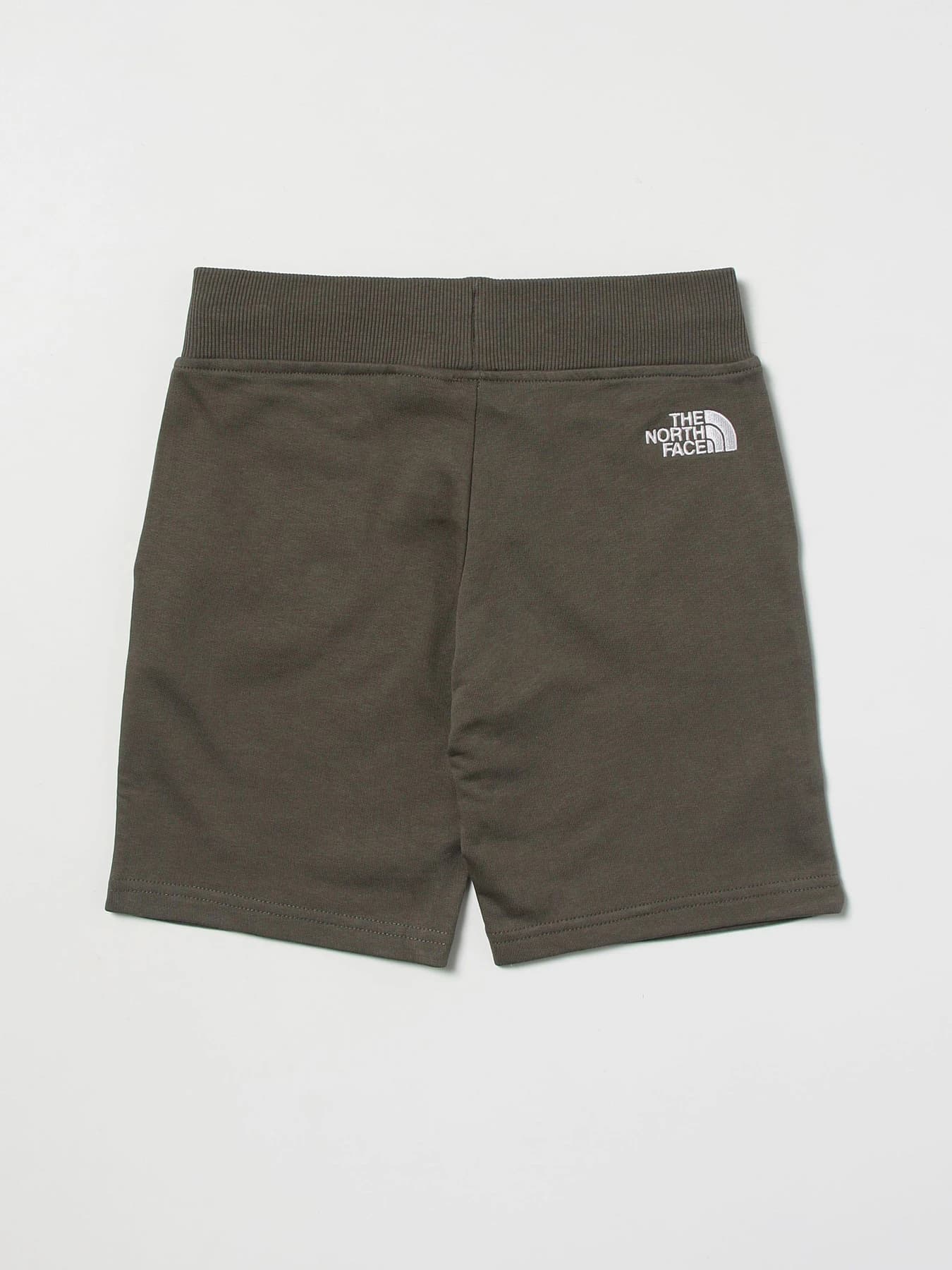 Шорты The North Face модель NF0A7R1I0C51