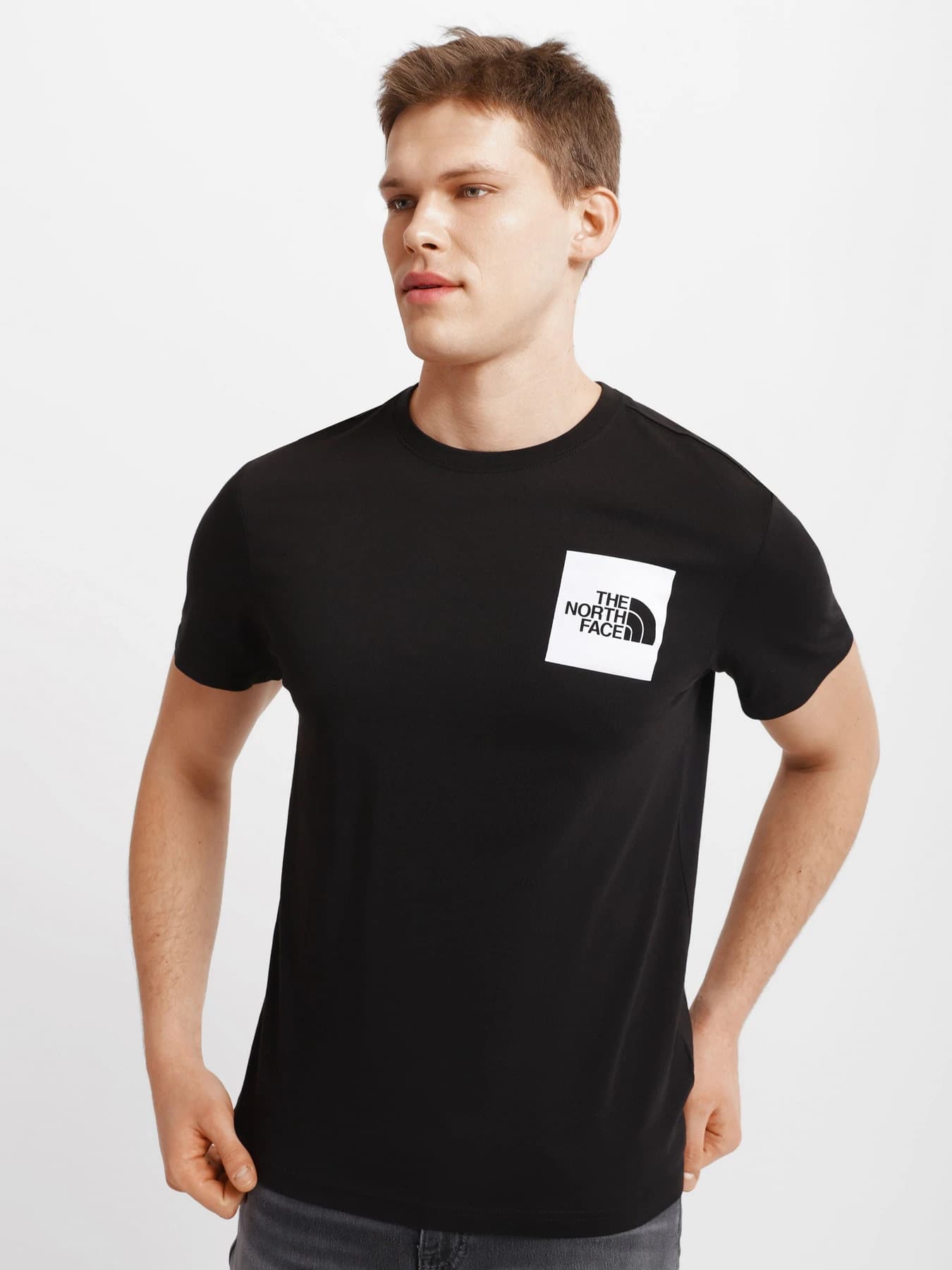 Футболки и поло The North Face модель NF00CEQ5JK31