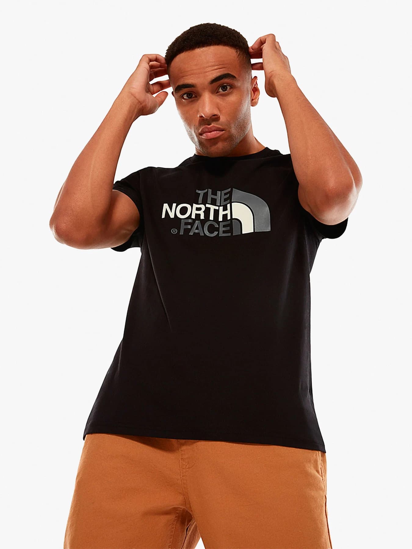 Футболки и поло The North Face модель NF0A2TX3JK31