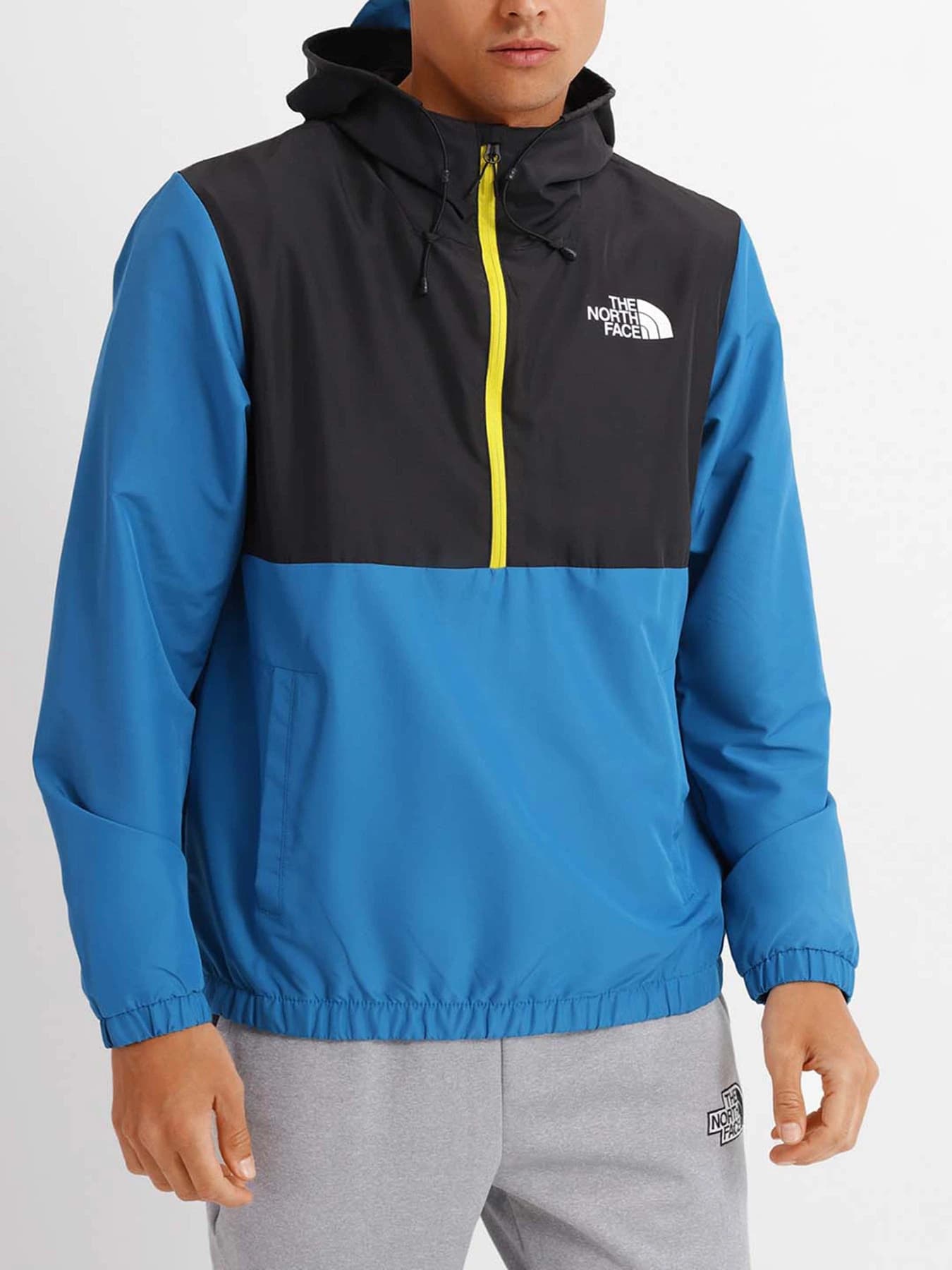 Куртки и дубленки The North Face модель NF0A5IEONTQ1