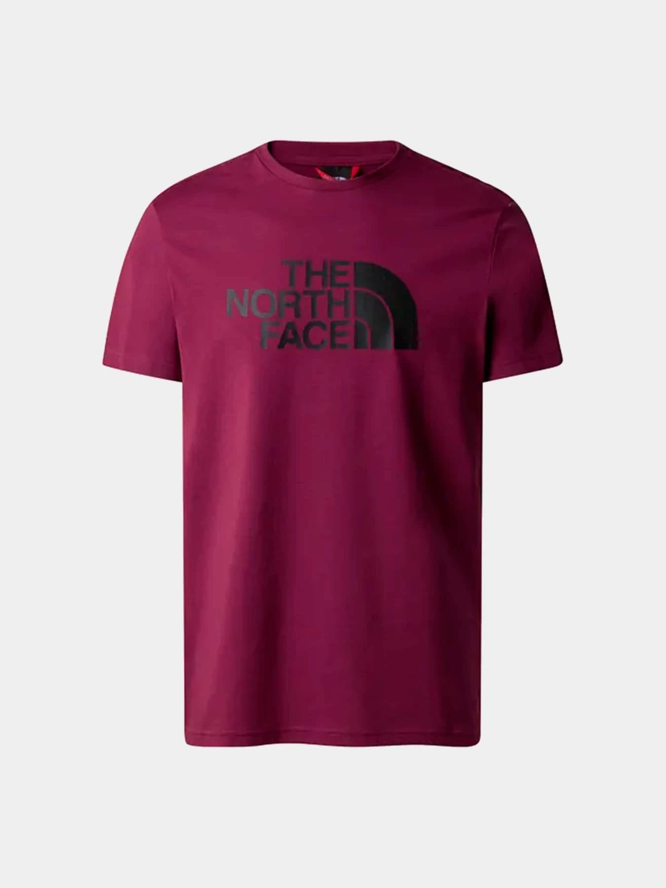 Футболки и поло The North Face модель NF0A2TX3I0H1