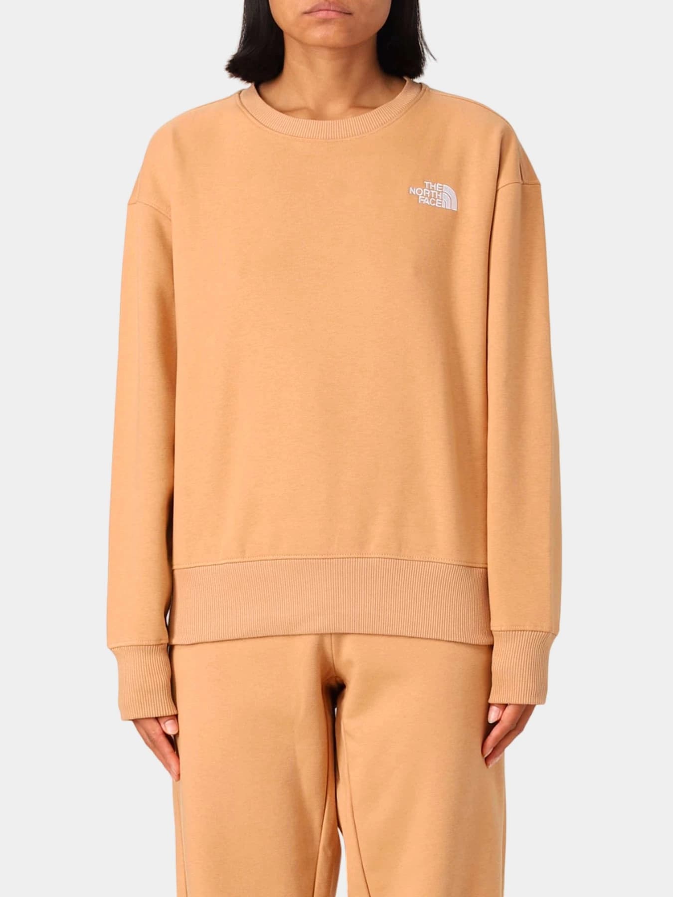 Худи и свитшоты The North Face модель NF0A7ZJEI0J1