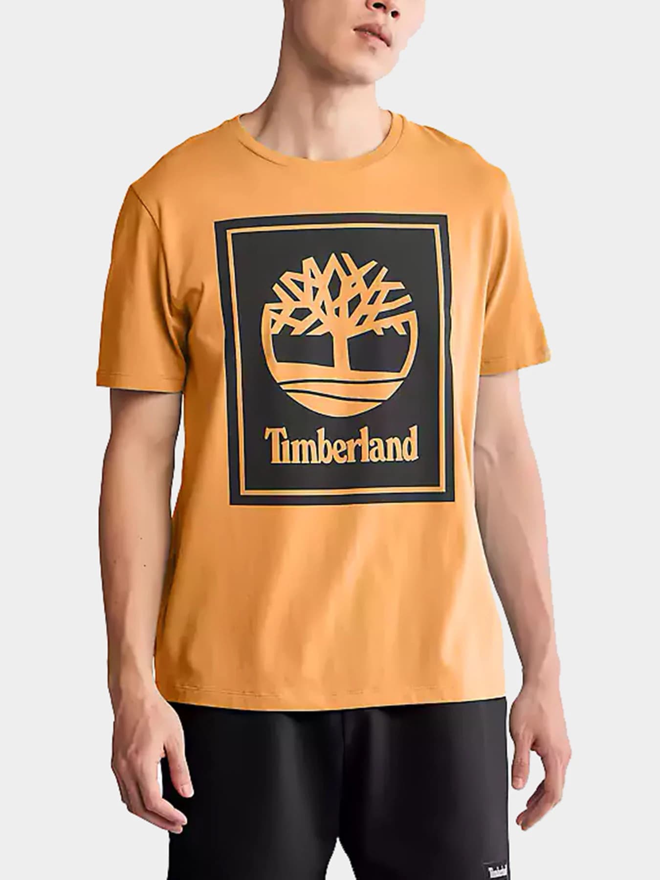 Футболки и поло Timberland модель TB0A2AJ1P57