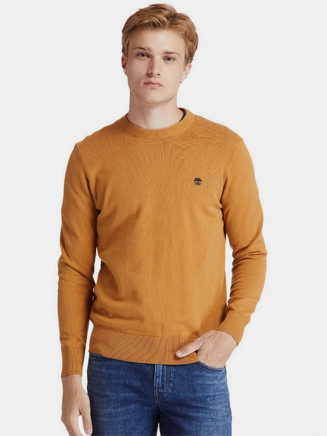 Худи и свитшоты Timberland модель TB0A2BMMP47