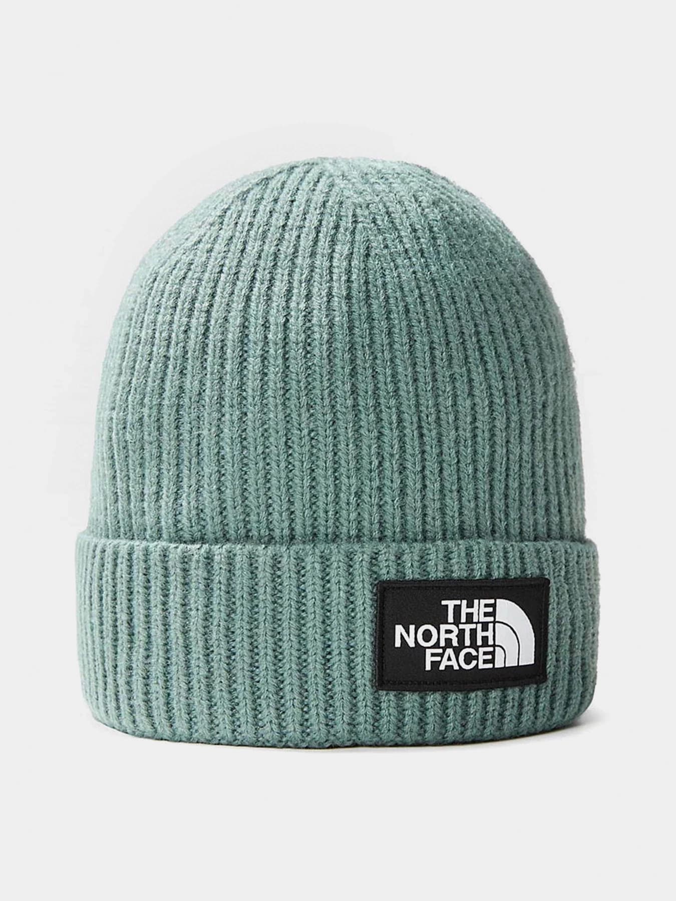 Шапки и кепки The North Face модель NF0A3FJXI0F1