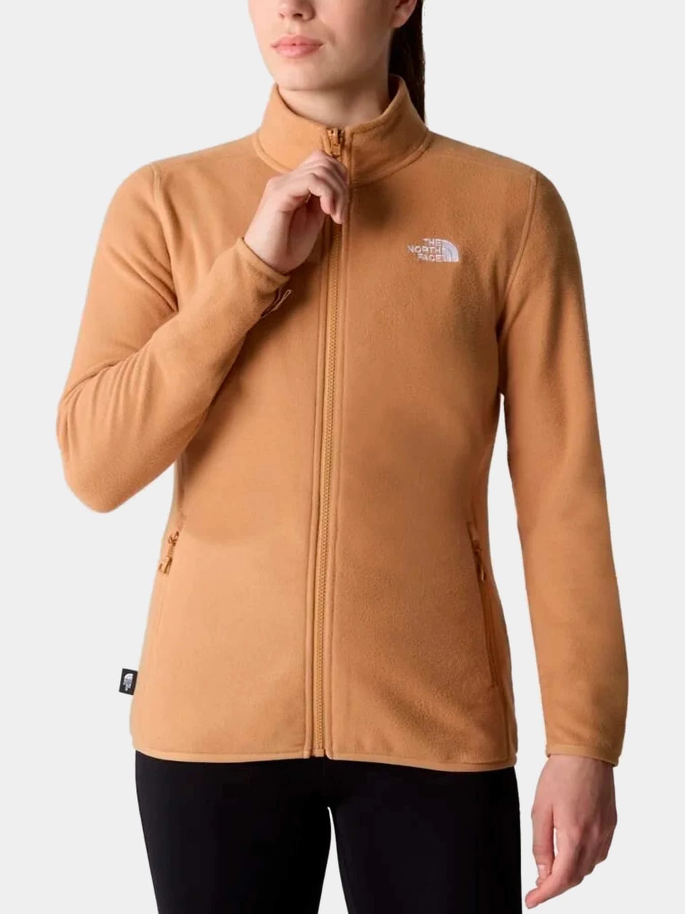 Худи и свитшоты The North Face модель NF0A855OI0J1