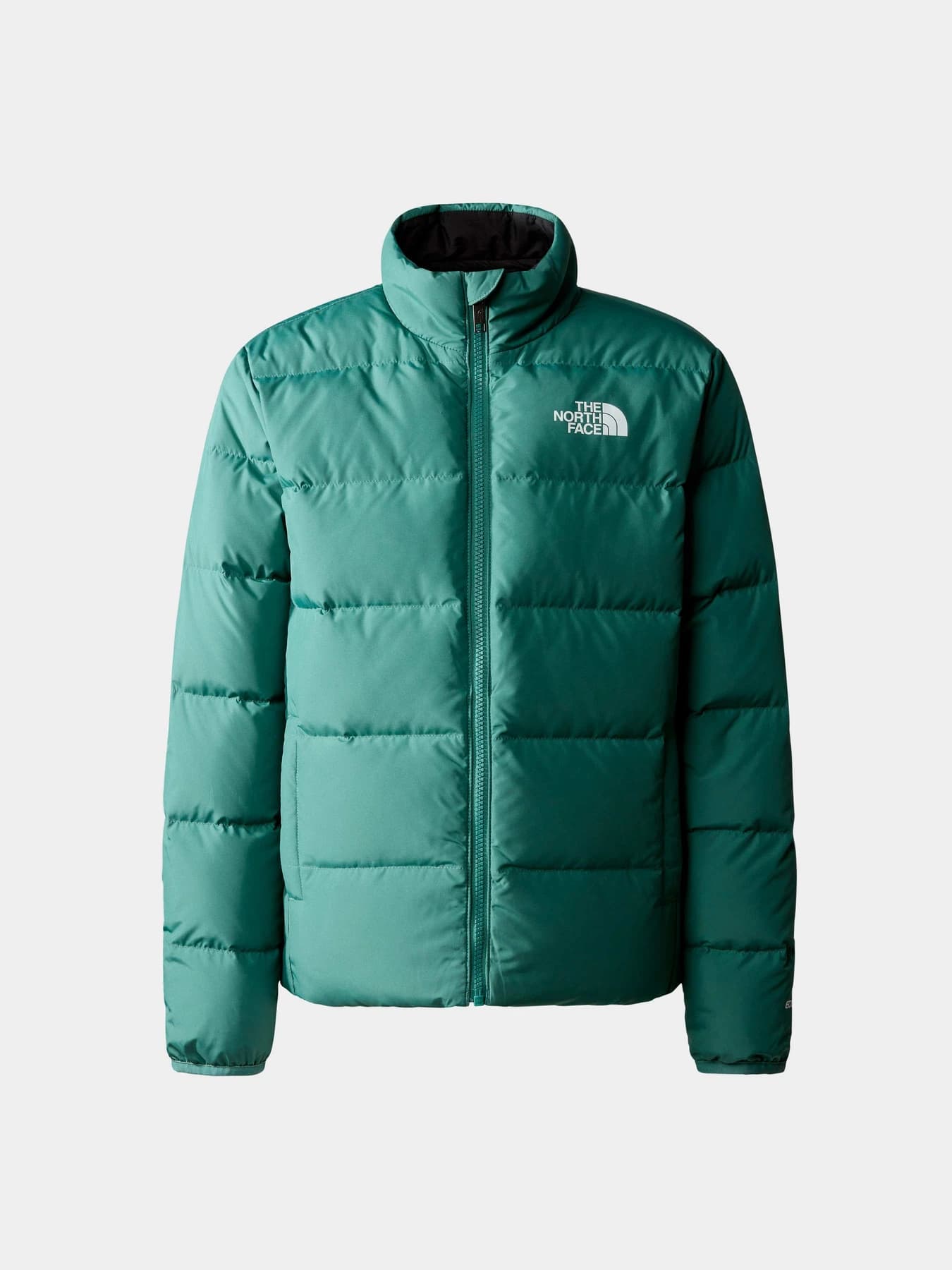 Куртки и дубленки The North Face модель NF0A82YUI0F1