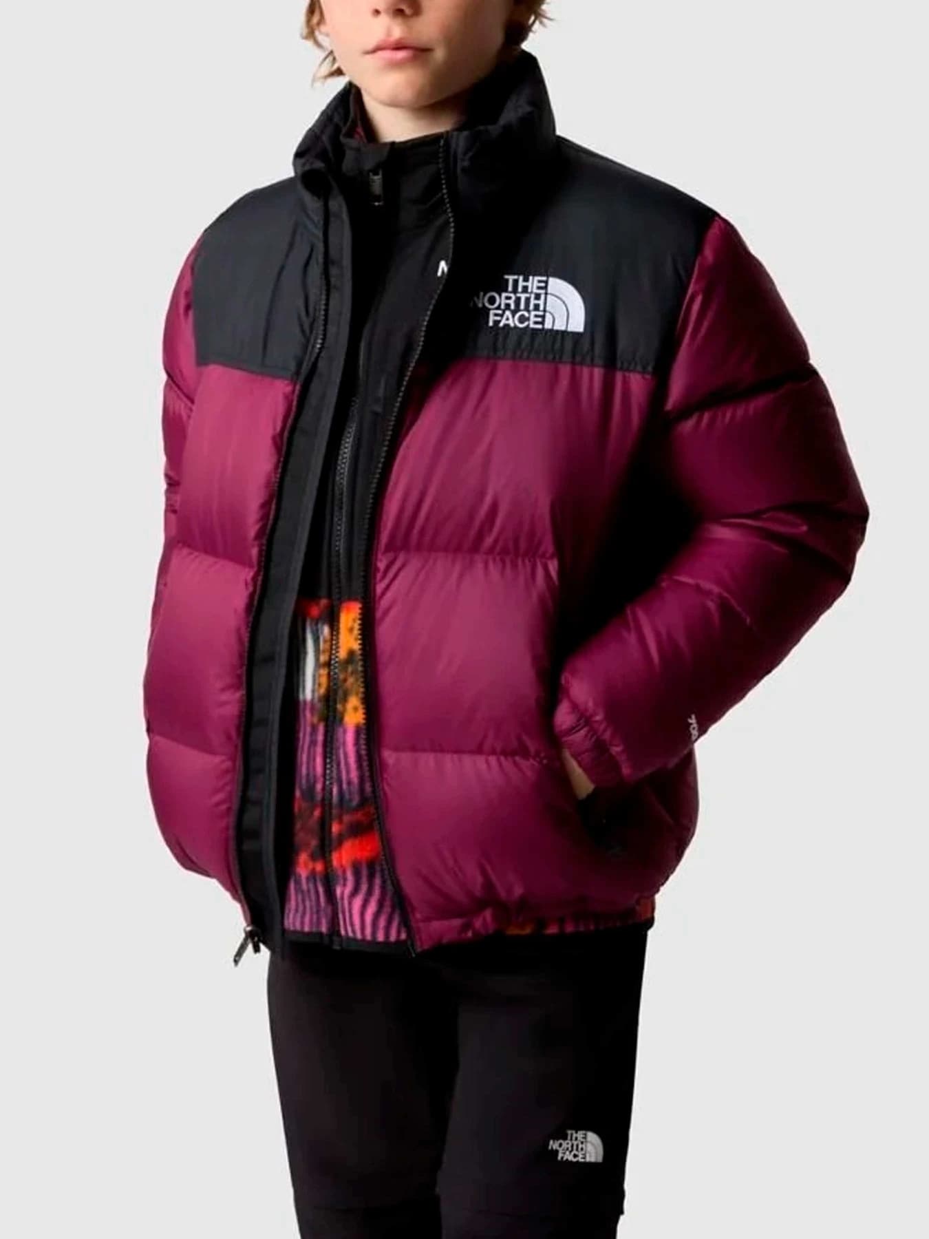 Куртки и дубленки The North Face модель NF0A82UDI0H1