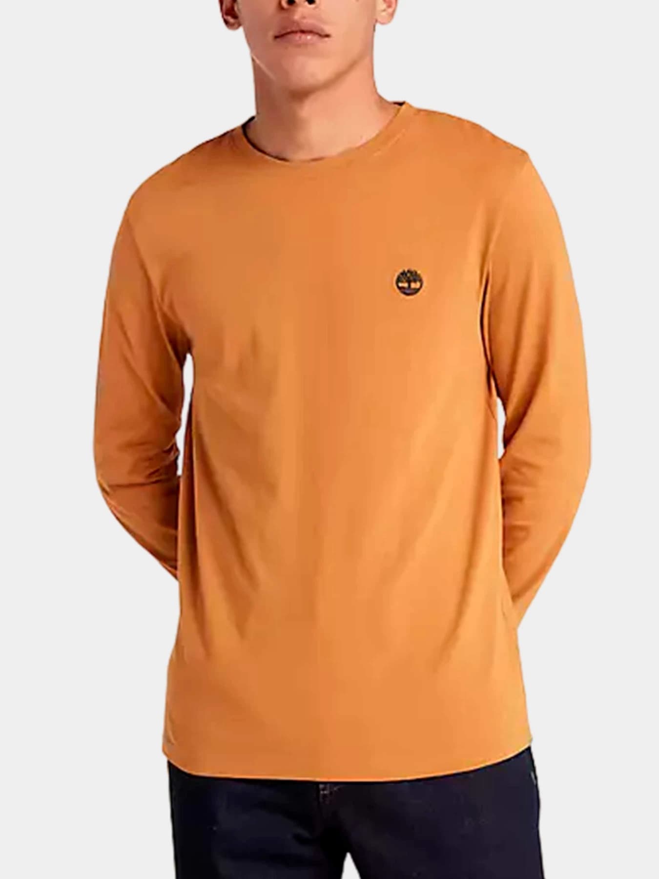Худи и свитшоты Timberland модель TB0A2BQ3P47