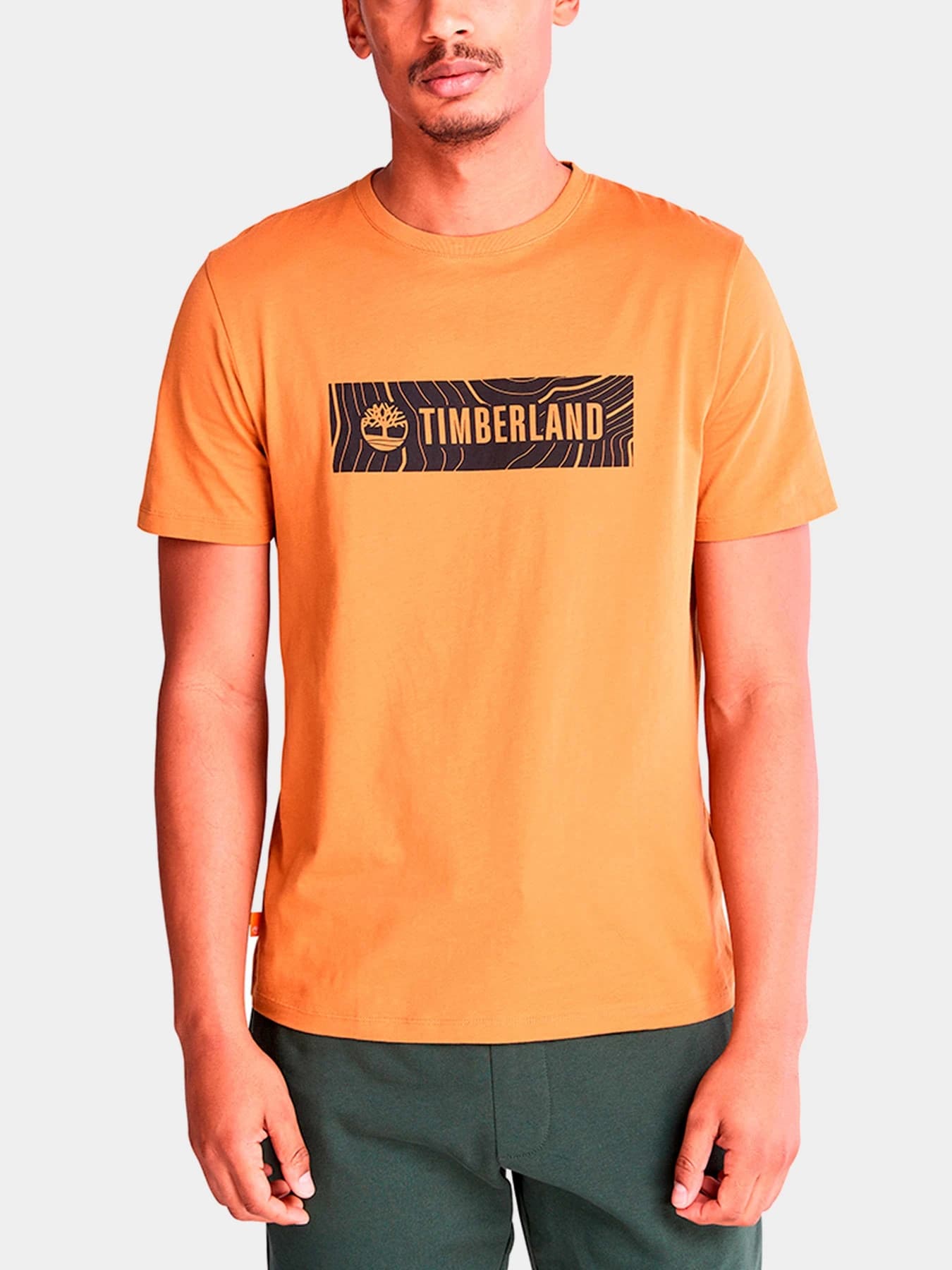 Футболки и поло Timberland модель TB0A5R1RP47