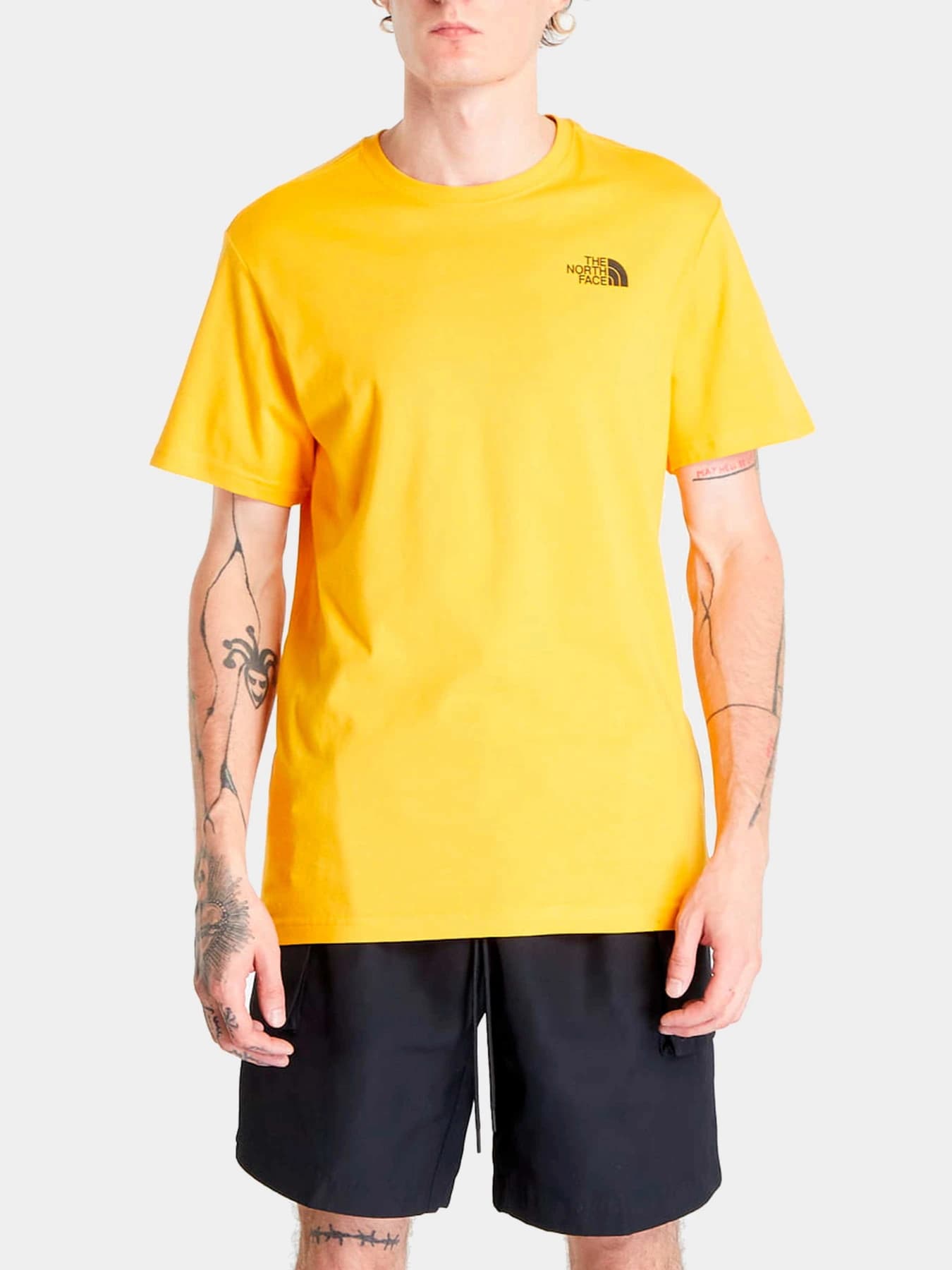 Футболки и поло The North Face модель NF0A2TX256P1