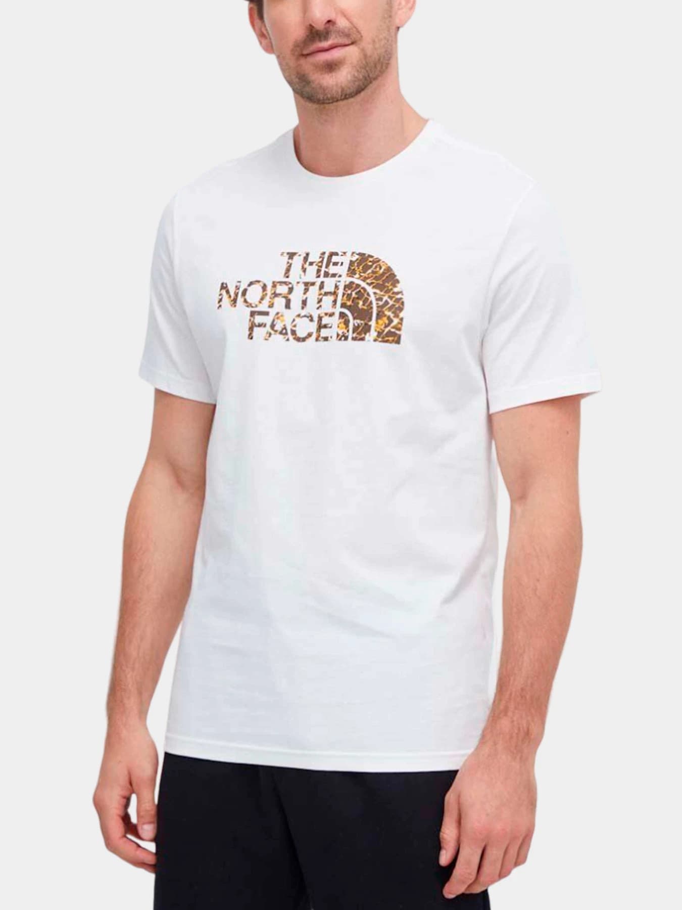 Футболки и поло The North Face модель NF0A2TX3O4O1