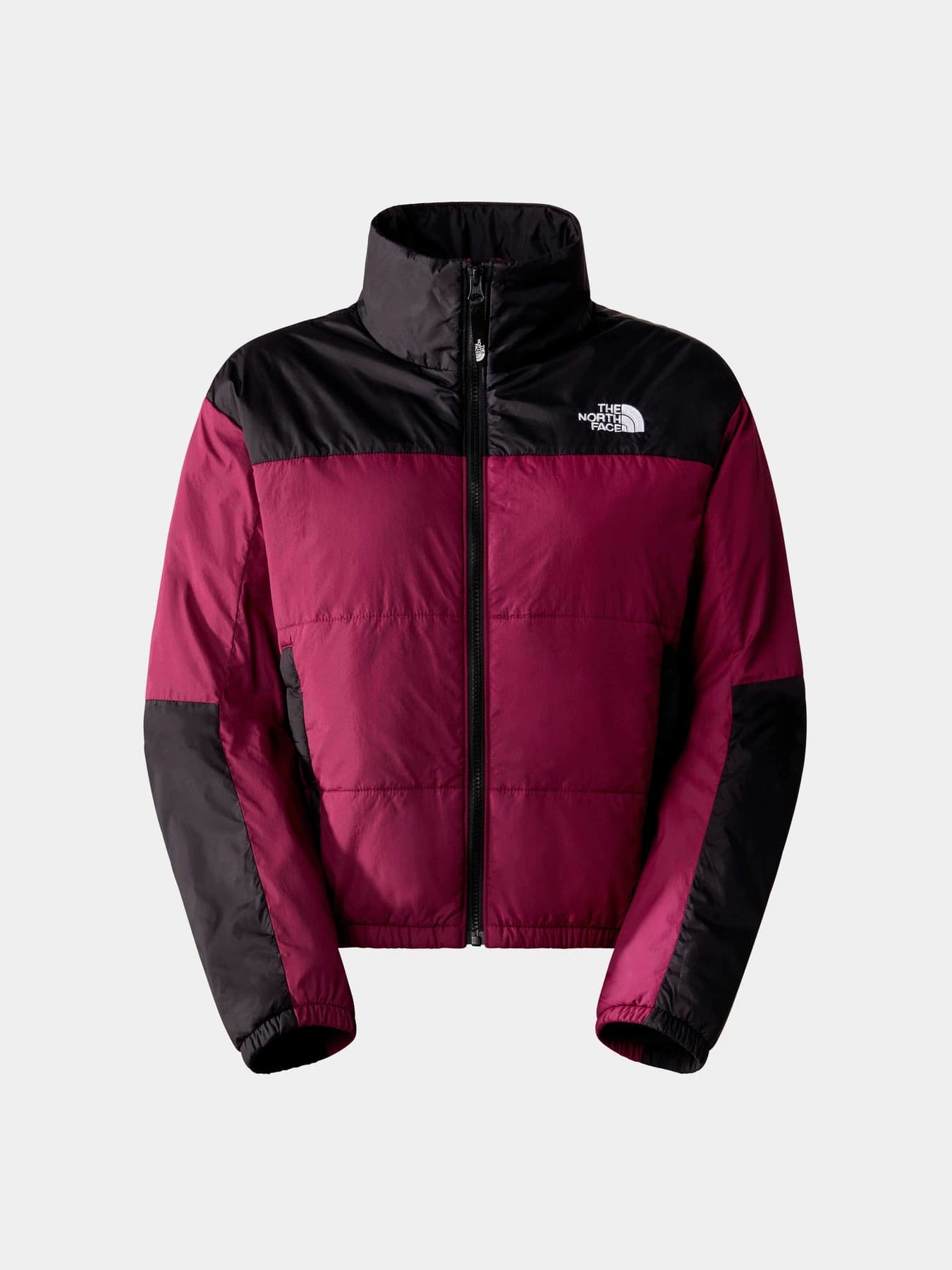 Куртки и дубленки The North Face модель NF0A491JKK91