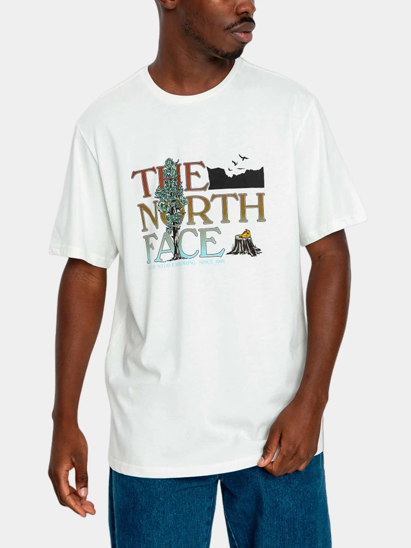 Футболки и поло The North Face модель NF0A7X1ON3N1
