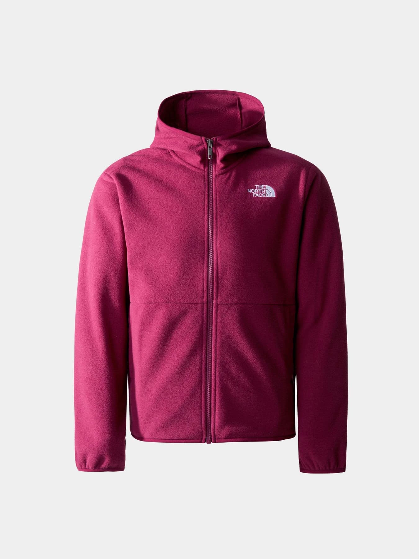 Куртки и дубленки The North Face модель NF0A82TVI0H1